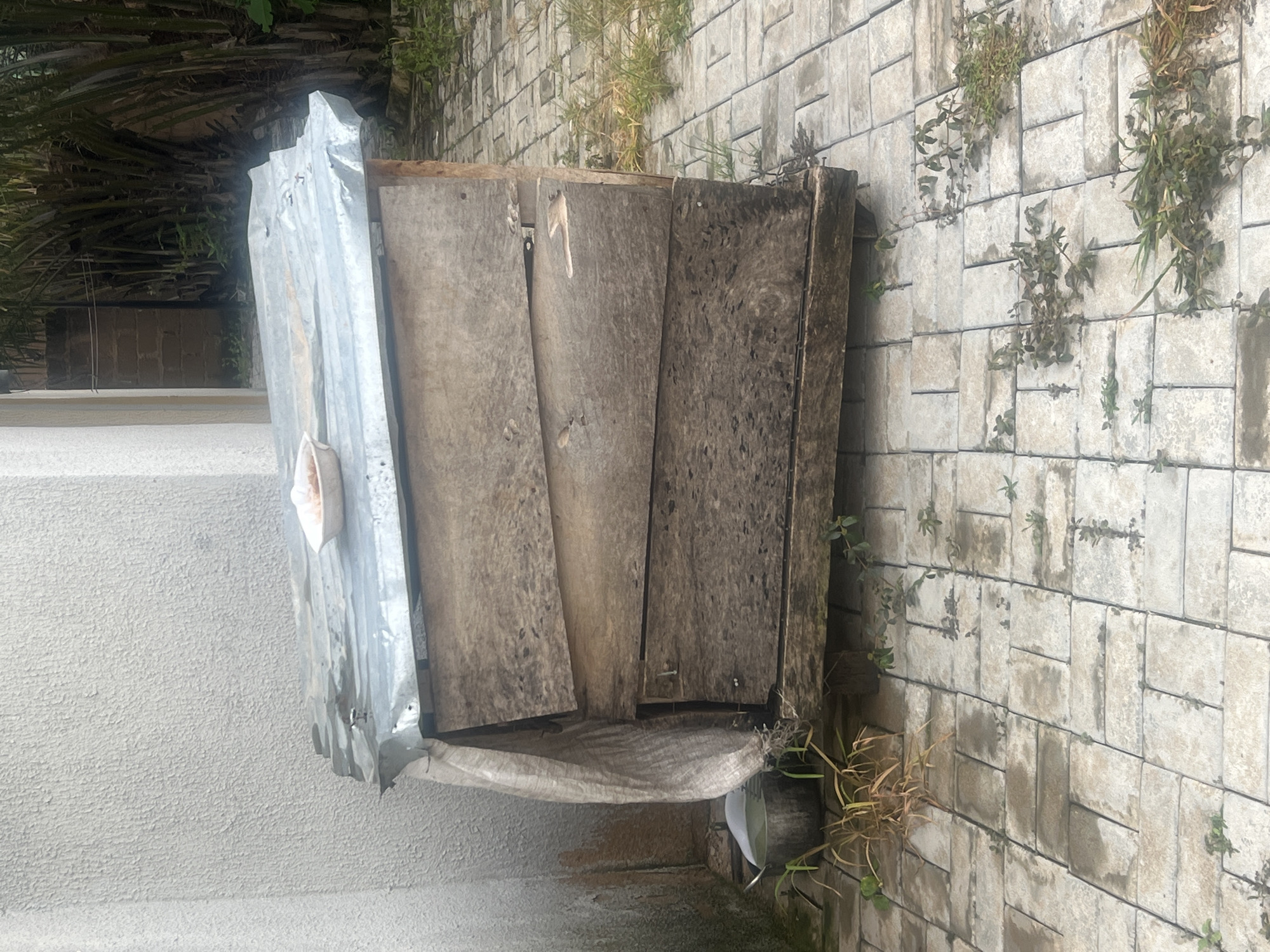 A weathered, wooden box structure sits against a textured white wall on the left and a stone-tiled wall on the right. The box is partially covered with a shiny, corrugated metal sheet on top, which is bent and appears to be the roof. The front of the box is made of vertical wooden planks, some of which are darker and more worn than others. A beige, sack-like material is draped over the bottom front of the structure. Green foliage is visible in the background, with some plants growing in the cracks of the stone tiles. The scene suggests an outdoor setting, possibly a backyard or an alleyway in Gura Top, Nigeria. The lighting suggests it is daytime, with natural light illuminating the scene. There is no visible text in the image. The overall impression is of a utilitarian structure that has seen better days, placed in a somewhat overgrown environment.