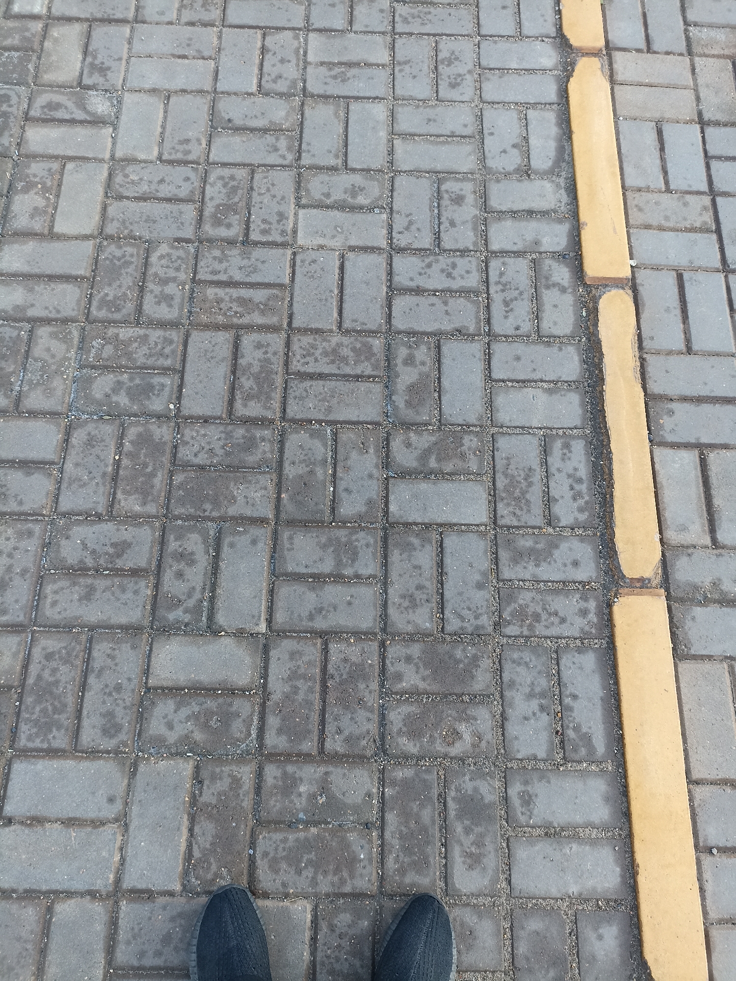 The image shows a close-up, top-down view of a wet, gray brick pathway with a yellow curb on the right side. Two dark-colored shoes are visible at the bottom of the frame, suggesting a person is standing on the pathway. The bricks are arranged in a herringbone pattern. The overall scene is characteristic of an outdoor urban environment, possibly a sidewalk or pedestrian area. The context of Chekhov, Russia, implies a temperate climate where rain or moisture on pathways is common.
