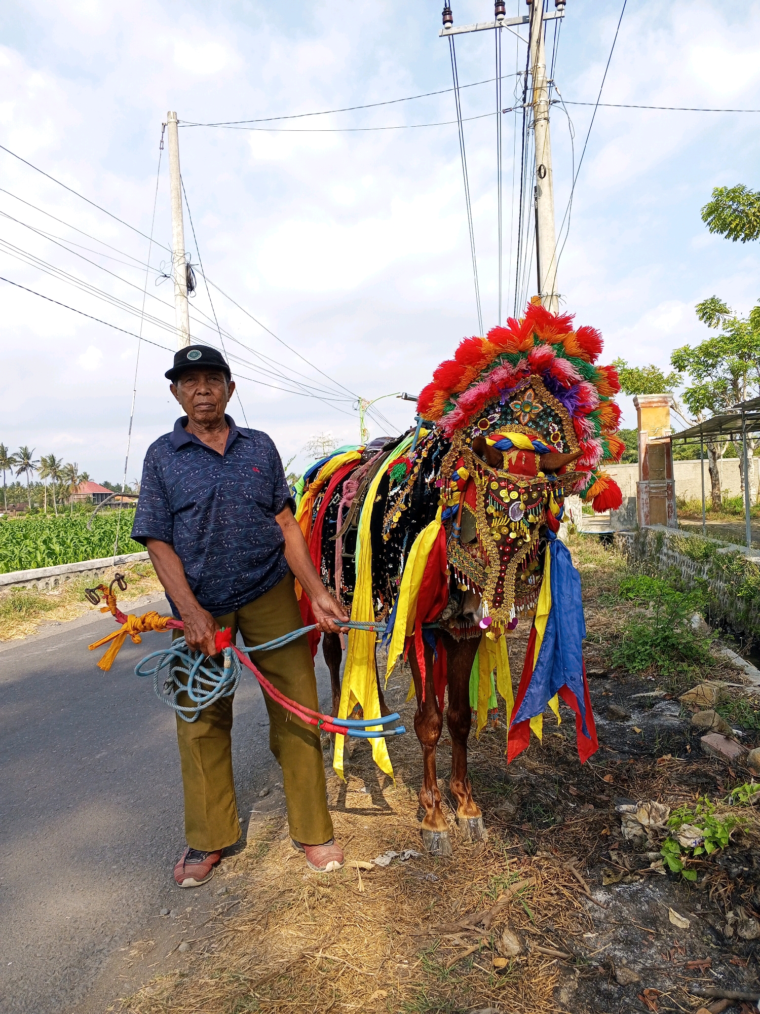 An elderly Indonesian man stands to the left of a brown horse adorned in a colorful, elaborate costume. The horse's headwear is particularly vibrant, featuring a large, multi-colored plume of feathers, ornate gold trim, and dangling gold coins. Colorful fabric streamers in yellow, red, and blue are attached to the horse's body and head. The man, wearing a dark blue polo shirt with a repeating pattern, olive green pants, a black baseball cap, and red sneakers, holds the horse's reins, which are coiled in his hands and appear to be made of blue rope with red and yellow accents.
The scene appears to be outdoors, with a paved road in the foreground. To the left of the road, a field of green crops, possibly rice paddies, stretches towards a row of palm trees and houses. In the background, a tall utility pole with multiple wires stands prominently. To the right of the horse, the ground is covered in dry grass and scattered debris. Further back, a stone wall and a building with an orange-toned structure are visible. The sky is partially cloudy. The image was taken in Tamansari, Indonesia.
