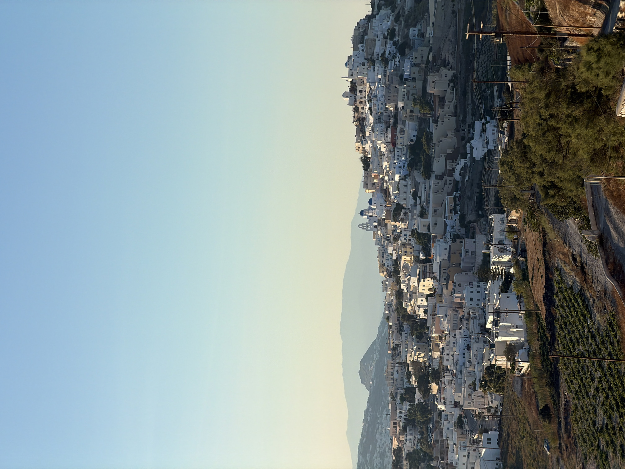 A high-angle, medium shot captures a sun-drenched village nestled on a hillside under a clear, pale blue sky. The village, likely in the Thira Municipal Unit of Greece, is characterized by densely packed, whitewashed buildings with occasional yellow and terracotta accents. Domed structures, including two prominent blue-domed churches, dot the landscape. The buildings cascade down the slope, interrupted by narrow pathways and some greenery. In the foreground, a terraced hillside displays rows of vineyard plants. Sparse trees and scattered utility poles are visible throughout the scene. The overall impression is one of a traditional Mediterranean settlement bathed in the warm light of either early morning or late afternoon.