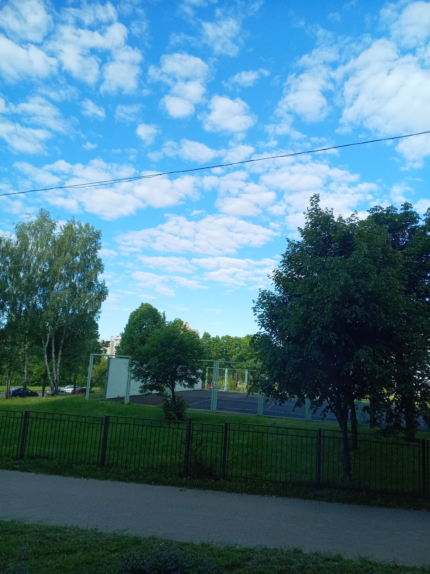 The image displays an outdoor scene under a vibrant blue sky filled with numerous scattered white cumulus clouds. A thin black utility line stretches horizontally across the upper-middle portion of the frame. In the foreground, a grey paved path, likely a sidewalk, borders a strip of green grass. Immediately behind this, a black metal fence with vertical bars encloses a lush green grassy area.
Beyond the fence, various green trees with dense foliage are prominent. On the left, several tall birch trees with light-colored bark are visible. Further back and to the right, glimpses of what appears to be a blue sports court with white markings are visible through the trees and fence, along with light-colored structural elements, possibly part of the court's enclosure or equipment. Faint outlines of parked cars are discernible near the base of the birch trees on the left, and a distant building's upper section is barely visible above the treetops.
The scene takes place during the daytime, likely morning or afternoon, under clear and pleasant weather conditions. The setting suggests an urban or suburban park, a residential area, or school grounds with recreational facilities. No people or specific activities are depicted, and no text is visible within the image.