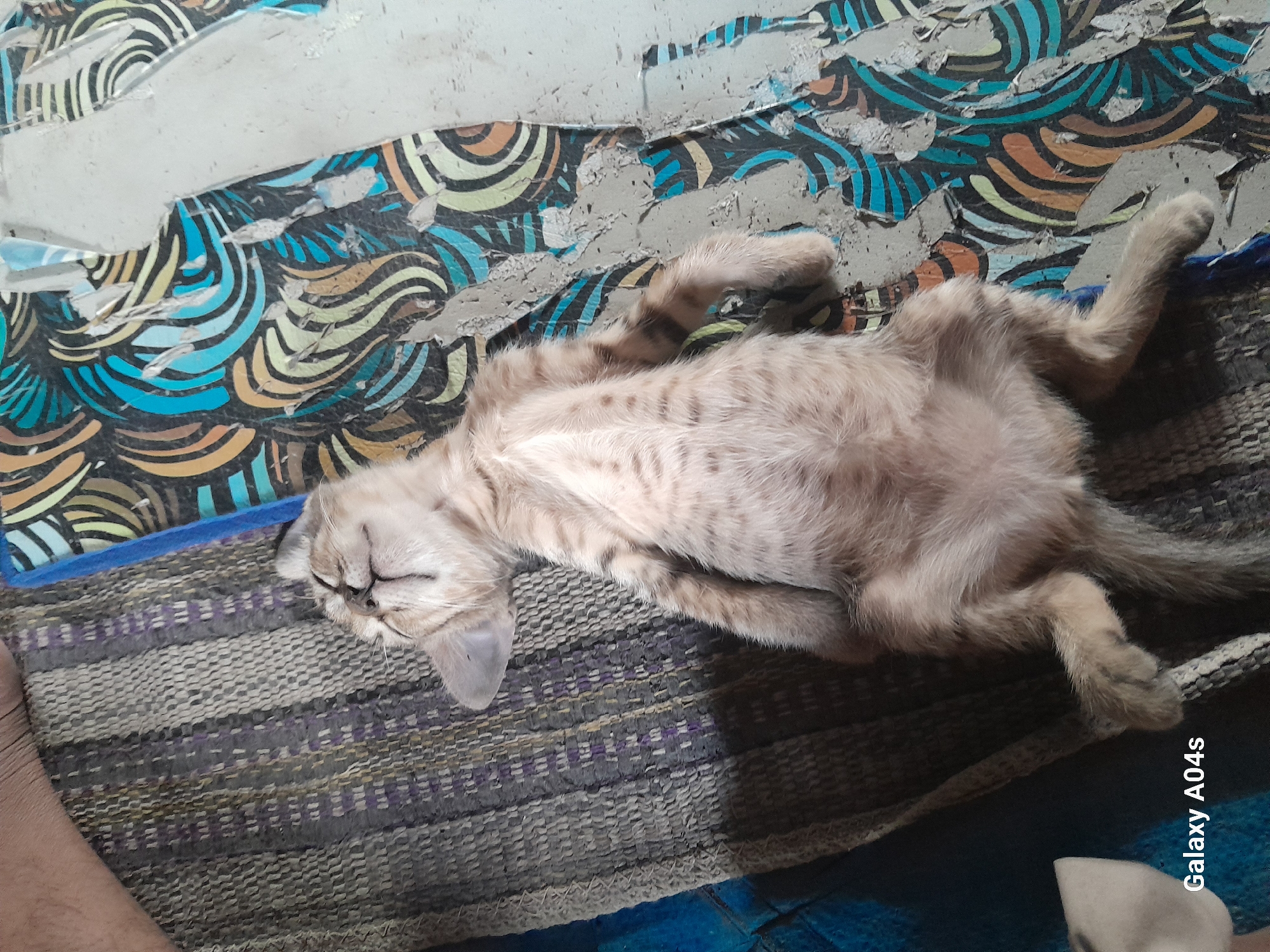 A light brown tabby kitten, wearing a clear plastic Elizabethan collar, is sleeping on its back on a patterned mat. The kitten is positioned diagonally across the frame, with its head and upper body on the left side and its paws extending towards the right. The mat has a woven texture with stripes of gray, purple, and blue. To the right of the mat is a surface with a colorful, swirling pattern of blue, orange, yellow, and green. Partially visible in the upper left corner is the leg of a person. In the lower left corner, the text "Galaxy A04s" is visible. The scene appears to be indoors, likely in a residential setting in Pilangpayung, Indonesia.