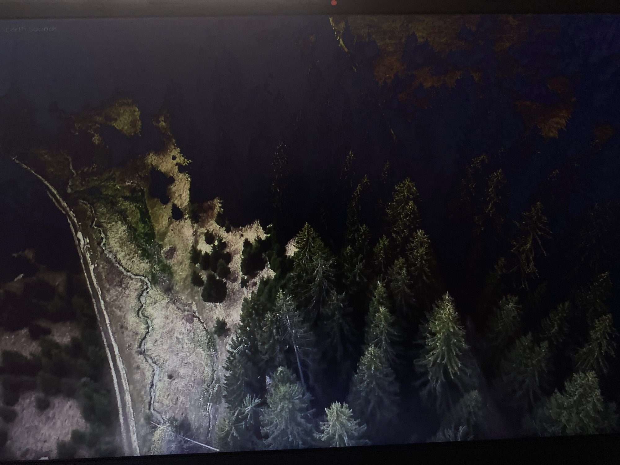 This is an aerial view of a landscape featuring a forest and a marshy area. The forest consists of numerous tall, conical trees, predominantly evergreen, with some appearing denser than others. The marshy area displays irregular patterns of water and vegetation, with a winding waterway visible. A dirt road runs alongside the marshy area, demarcating the transition to the more densely vegetated terrain. The lighting suggests it is either dusk or dawn, or the image was captured under low light conditions, as parts of the scene are dark and shadowed, while others are illuminated. There are no people or animals visible in the image. The phrase "Earth Sounds" is faintly visible in the upper left corner, suggesting this might be a display from a satellite imagery service. There is no indication of the specific location in Hemayetpur, Bangladesh, within the provided image.