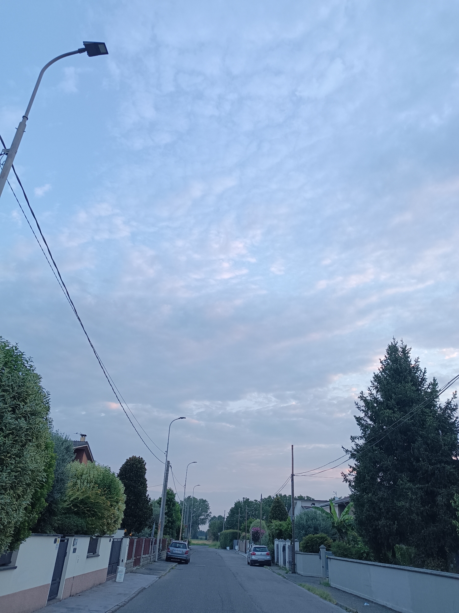 This is a street-level, eye-level, vertical photograph taken in Viadana, Italy, likely during the early morning or late evening due to the soft, diffused light and cloudy sky. The scene depicts a residential street lined with houses and lush vegetation.
In the foreground, a grey sedan is parked on the right side of the asphalt road. The street is bordered by sidewalks and low walls, with well-maintained fences and hedges visible. Several houses with pitched roofs are interspersed with abundant green trees and bushes. A tall, dark green conifer tree is prominent on the right side of the image.
Several streetlights are visible along the road, with one on a tall pole dominating the upper left quadrant of the image. Overhead power lines crisscross the sky, supported by poles. The sky itself is a soft blue with scattered, wispy white and pink-tinged clouds.
There are no people visible in the image. The overall impression is one of a quiet, suburban environment.