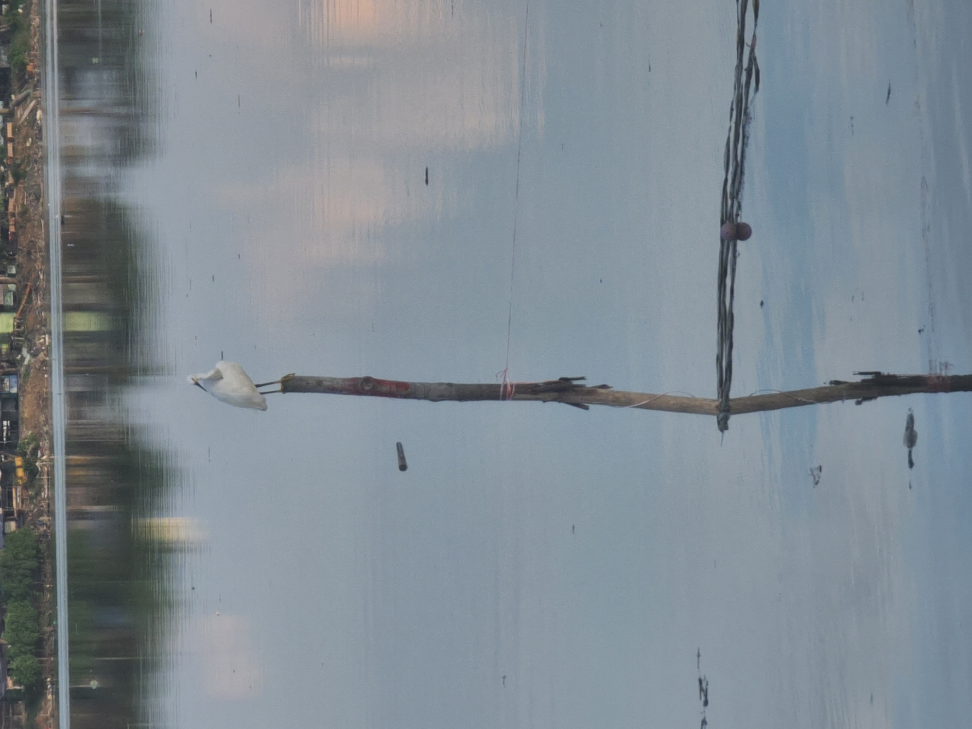 The photograph, taken in Lhokseumawe, Indonesia, depicts a body of water with reflections suggesting overcast skies. A wooden pole extends horizontally across the frame. Perched at the pole's end is a white bird. A length of electrical wire is visible to the right of the pole. The background shows structures and vegetation characteristic of an urbanized area.
