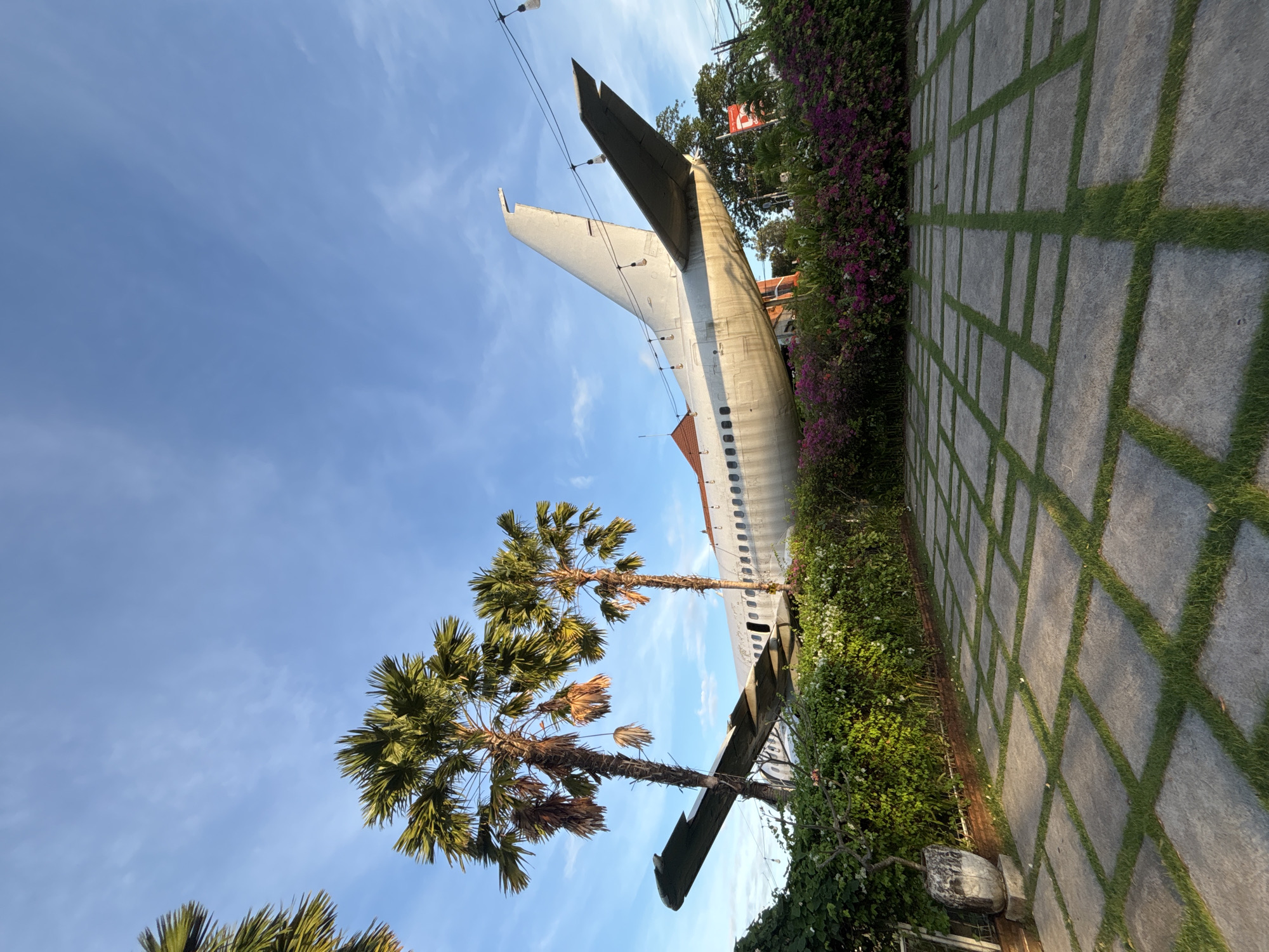 The image depicts a repurposed Boeing 737 aircraft, likely the "JetPlane House," situated in Kuta, Indonesia. The plane sits adjacent to a patterned stone walkway interlaid with grass. The tail fin of the aircraft is prominently visible against a clear blue sky. Two palm trees are positioned to the left of the aircraft, partially obscuring its midsection. The aircraft is bordered by dense vegetation, including flowering bushes, on its right side. The orientation of the image suggests it was taken with the camera positioned on its side and then rotated.