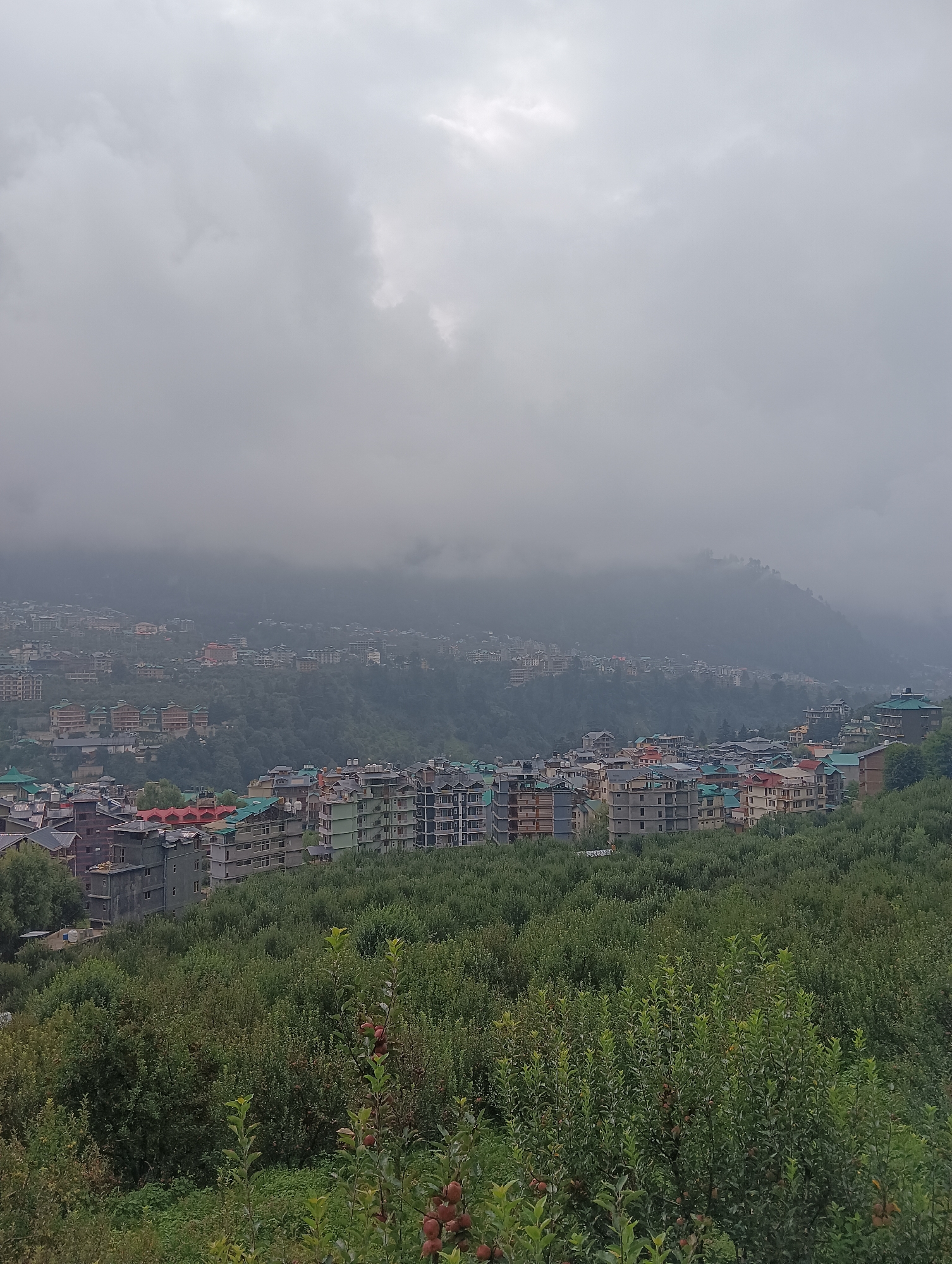 The image shows a densely populated hillside with buildings in Siumsa, India. The city is nestled in a valley surrounded by green hills, with the upper portions of the hills shrouded in fog. The buildings are multi-story structures with varied architecture and colorful roofs, indicating a mix of residential and commercial properties. In the foreground, there is a dense forest with lush green trees, some of which appear to be fruit trees, with visible red fruits. The sky is overcast, with heavy clouds obscuring the sun, suggesting a misty or rainy day. The overall scene depicts a vibrant yet subdued urban landscape integrated with natural surroundings.