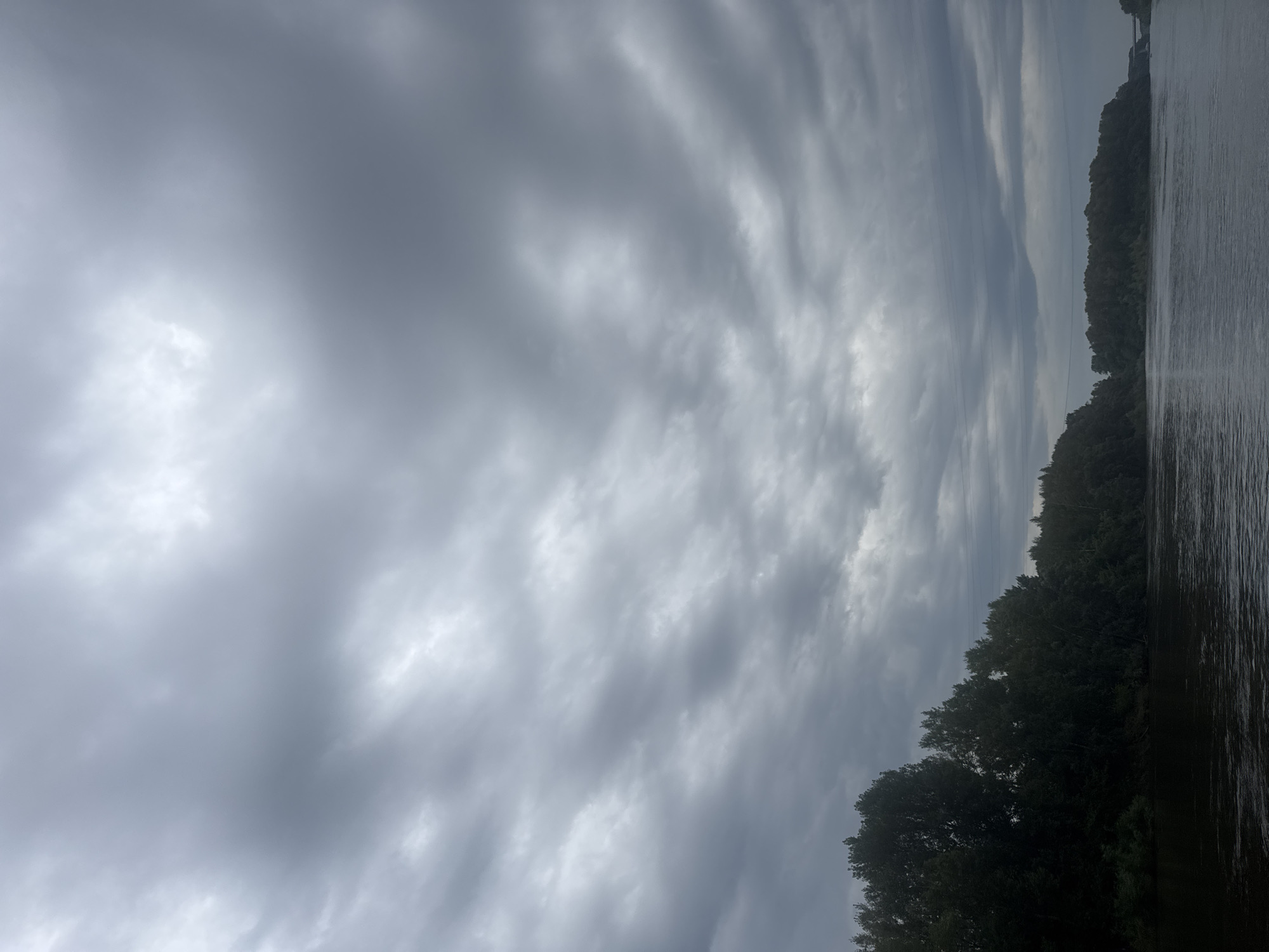 The image depicts a wide river with dark, choppy water. On the left bank, dense, dark green trees form a thick line along the water's edge. The right bank is also lined with trees, though less densely, and in the distance, a bridge is visible spanning the river. The sky is heavily overcast with thick, grey clouds that dominate the upper portion of the frame. The overall atmosphere is somber and subdued, suggesting a cloudy or possibly rainy day. The scene appears to be a natural landscape, likely a river within or on the outskirts of a city.