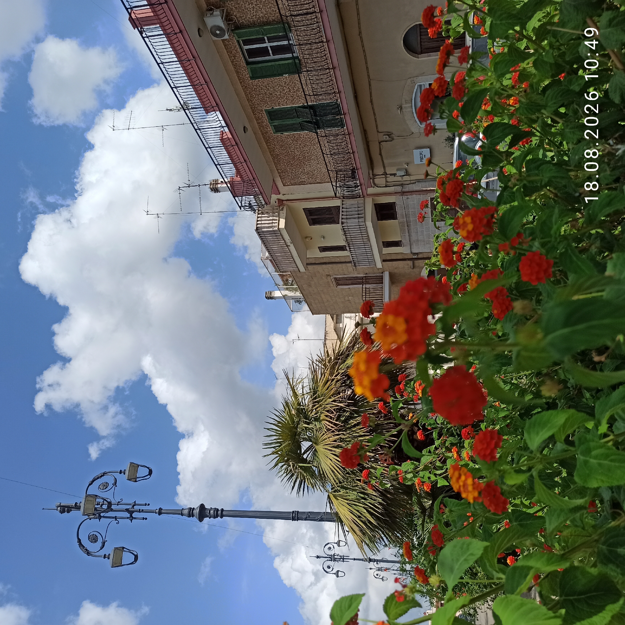 The image depicts a street scene in Bitonto, Italy, characterized by a vibrant display of red and orange flowers in the foreground. Behind the flowers, a tall, ornate black street lamp with multiple lights stands against a blue sky with scattered white clouds. Further back, a lush green palm tree is visible. The background features buildings with balconies, antennas, and architectural details typical of Italian urban environments. One building has a pale yellow facade with brown shutters and a pink railing on its upper balcony. Another building is clad in textured light brown brick. A white air conditioning unit is mounted on the exterior wall of one building. The lower right corner of the image displays a date and time stamp: "18.08.2026 10:49". No people are present in the image, and no actions or interactions are depicted.