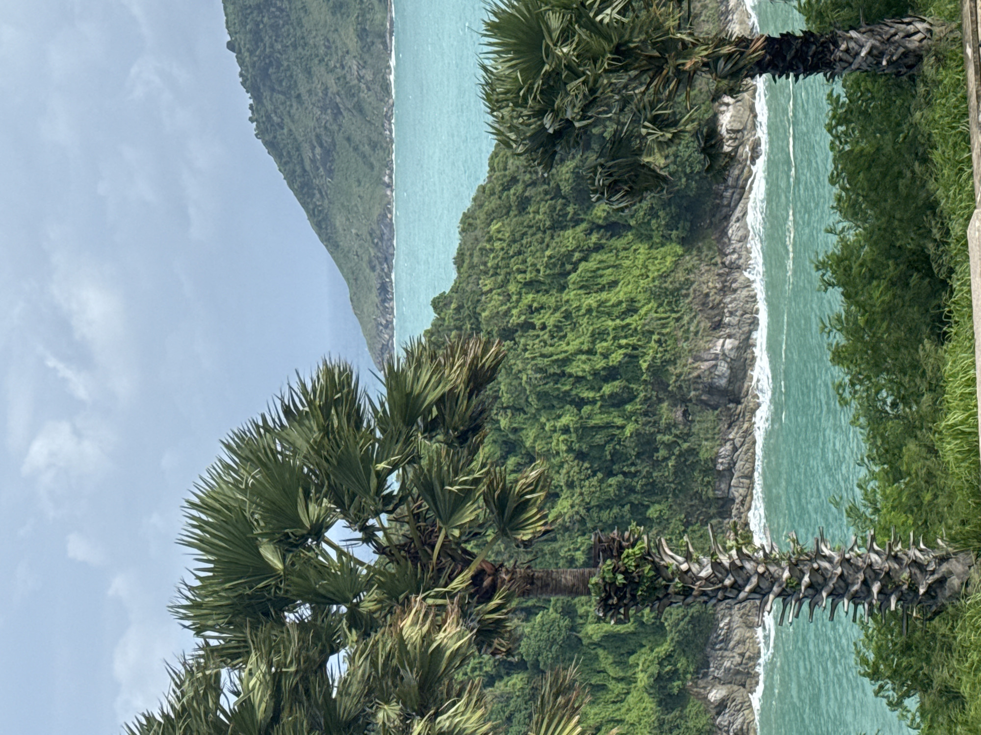 In Rawai, Thailand, this photograph captures a tropical coastal landscape. Two palm trees stand prominently in the foreground, their fronds rustling in the breeze. Behind them, a lush, green hillside slopes down towards the ocean. The water is a vibrant turquoise, with whitecaps indicating the presence of waves. In the distance, a larger, tree-covered mountain juts out into the sea, under a partly cloudy sky. The scene evokes a sense of natural beauty and tranquility.