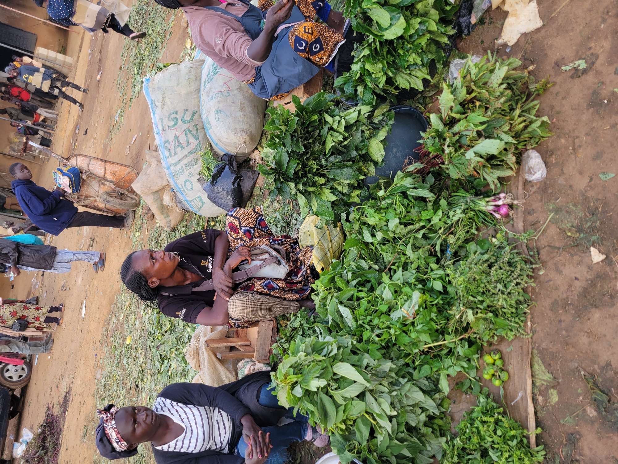 This image depicts a busy outdoor market scene in Gura Top, Nigeria. Two women are prominently featured in the foreground, appearing to be vendors selling produce. The woman on the right wears a black t-shirt with "Guinness VIP" text and has her arms crossed. The woman on the left wears a striped shirt and a headscarf, with her hands clasped. They are surrounded by large piles of fresh green leafy vegetables. In the background, several other people are visible, some standing and some sitting. There are also large sacks, possibly containing grains, and a wheelbarrow, suggesting the ongoing commerce of the market. The ground is dirt and littered with fallen leaves and debris. The lighting suggests it is daytime. The overall atmosphere appears to be one of daily life and trade in a Nigerian market.