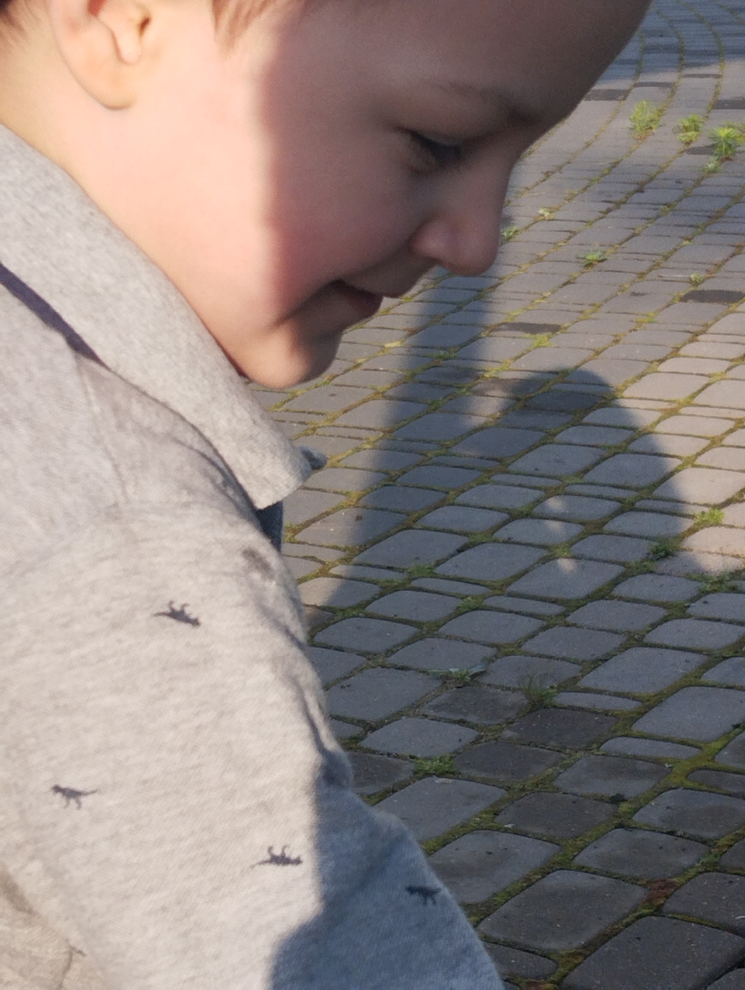 The image shows a close-up of a young boy wearing a gray t-shirt with a pattern of small dark silhouettes of animals. The boy's face is partially visible, with a shadow cast across it. He appears to be looking down. The background consists of a paved surface made of rectangular gray stones, with some moss or weeds growing in the cracks. The lighting suggests it is daytime, possibly late afternoon or early morning due to the prominent shadow. The location is identified as Kingisepp, Russia, implying this scene is taking place within the city limits.