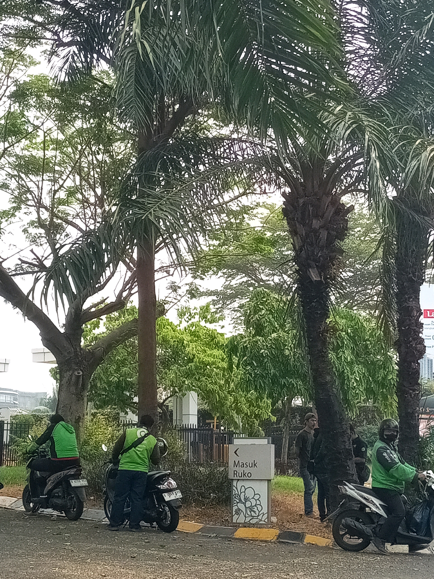 The image depicts an outdoor scene in the city of Bekasi, Indonesia, under an overcast sky. The foreground features a paved road with some scattered debris. On the left, a person wearing a bright green jacket and dark pants is seated on a black motorcycle. To the right of this, another individual in a similar bright green vest over a dark shirt and blue jeans is standing next to a black motorcycle. Further right, a third person, also in a green vest and dark pants, is riding a motorcycle, wearing a helmet and face mask. In the background, lush green trees and palm trees dominate the landscape, with some distant buildings visible. A sign with text, likely indicating "Masuk Ruko" (Enter Shop/Office) in Indonesian, is positioned to the left of the second person. The overall atmosphere appears to be casual, possibly related to delivery or ride-sharing services given the green vests.