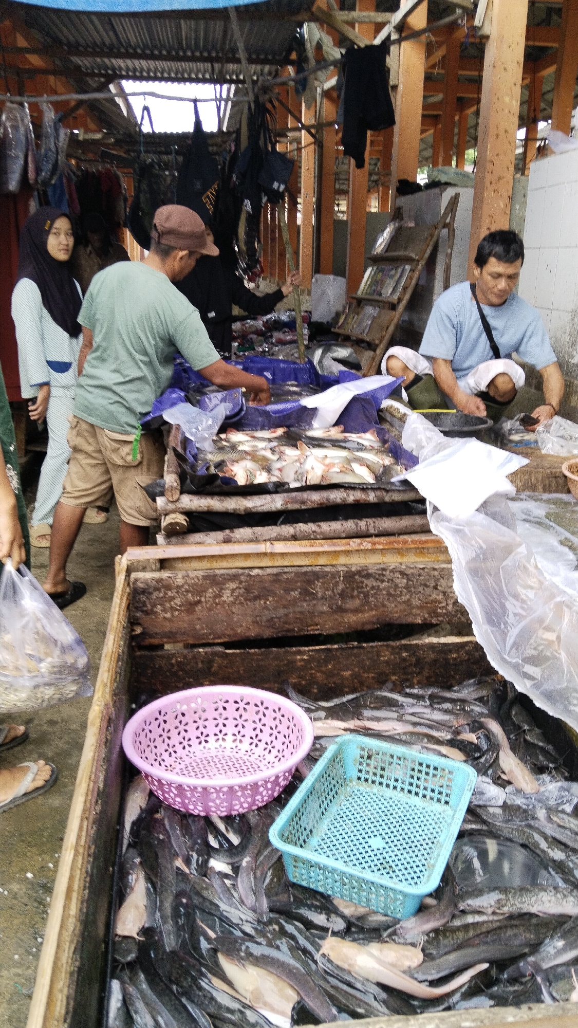 In Margatunggal, Indonesia, a fish market scene unfolds. A man wearing a light blue t-shirt and white shorts squats, sorting through a pile of fish. To his left, a man in a green t-shirt and tan shorts handles a bundle of fish on a blue tarp. Behind them, a woman in a black hijab and a blue and white striped outfit looks towards the camera. The market is covered by a corrugated roof supported by wooden beams. In the foreground, a wooden crate overflows with numerous dark-colored catfish, with a pink decorative basket and a blue plastic basket placed atop them. Another crate to the right contains additional fish. The ground appears to be concrete.