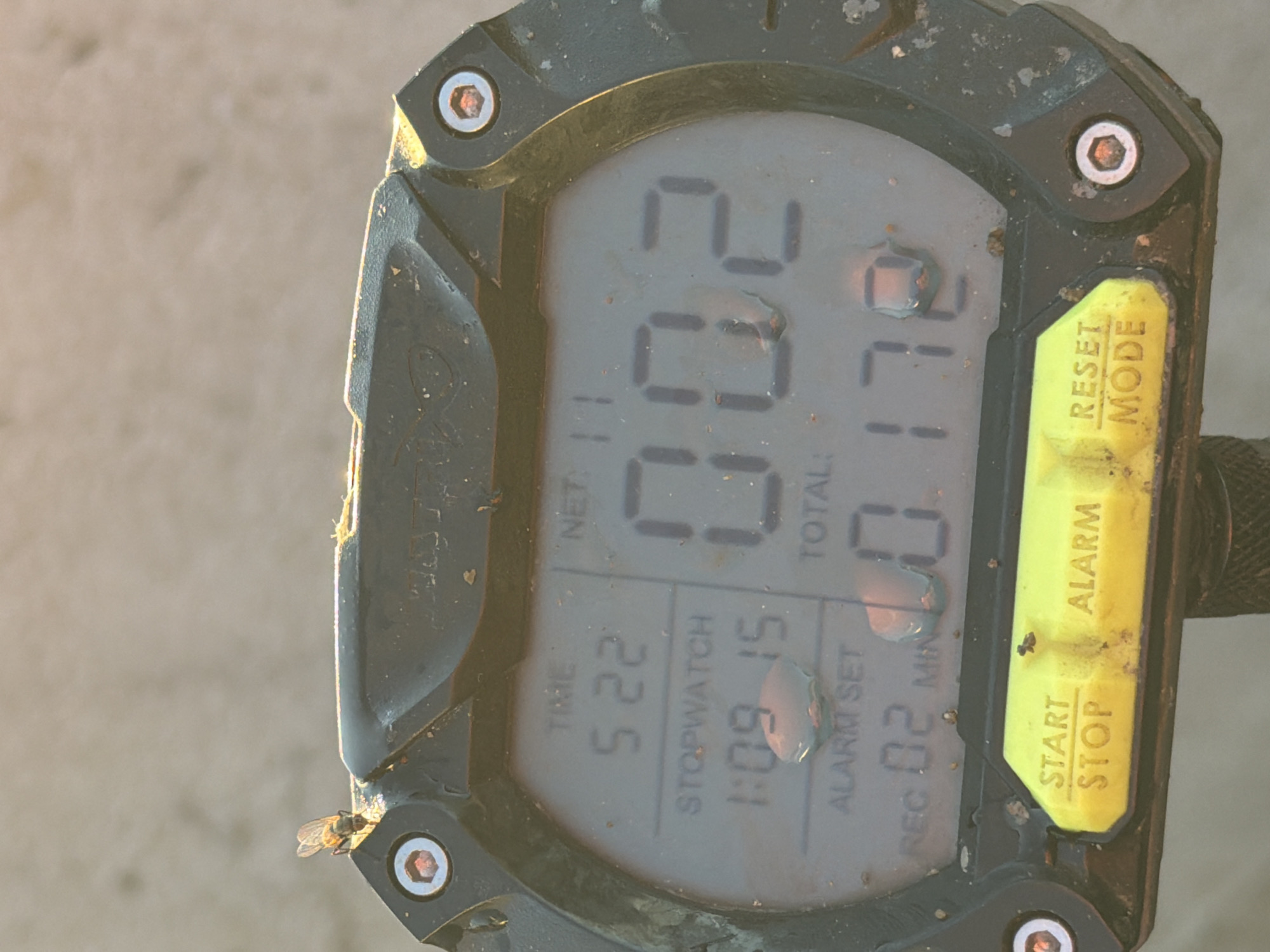 The image shows a close-up of a digital watch or timer. The watch face displays several readouts: "TIME 5 22", "STOPWATCH 1:09:15", "ALARM SET", "REC 02 MIN", "NET 11", "TOTAL:", and large numbers "002" and "0.172". The watch casing is black and appears dirty and weathered, with visible dust and debris. There are also water droplets on the screen. The watch has yellow buttons along the bottom labeled "START STOP", "ALARM", and "RESET MODE". In the upper left corner of the image, a small fly is perched on the edge of the watch. The background is out of focus, appearing to be a sandy or dusty surface. The image does not provide any information about the location of Chaikovsky, Russia.