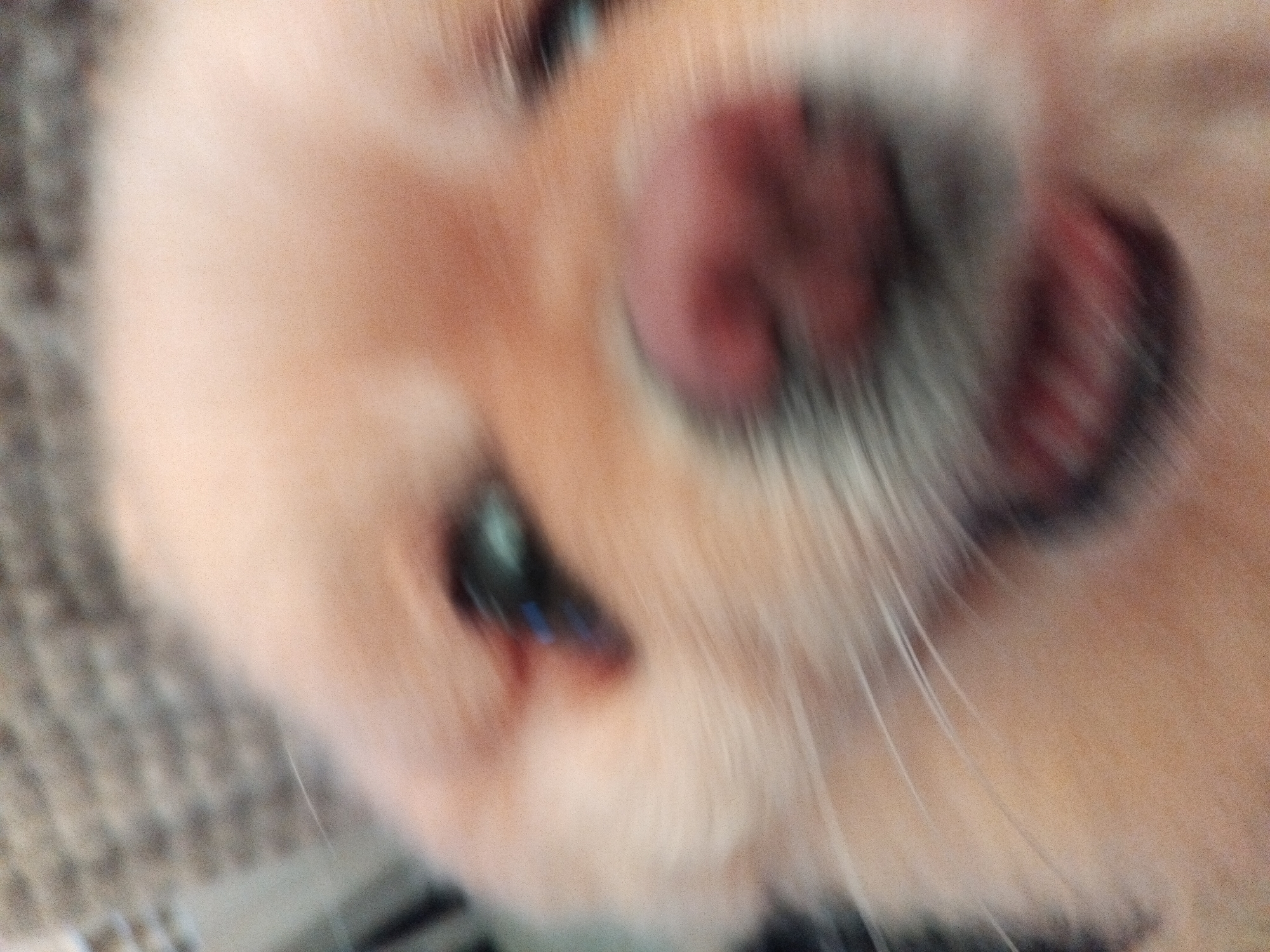 The image is a close-up, motion-blurred photograph of a Pomeranian dog's face. The dog has light-colored fur and a pink nose. Its eyes are dark, and one is more visible than the other due to the blur. The background is out of focus and appears to be a textured surface, possibly a blanket or upholstery. The image does not contain any information about Apriltsi, Bulgaria, nor does it depict any specific scene or location within that city.