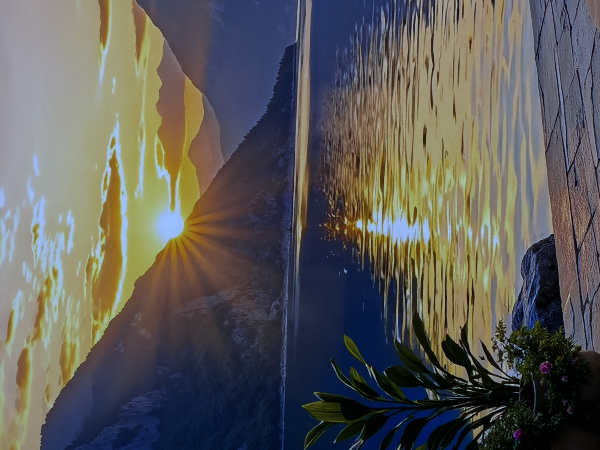 This media file captures a dramatic landscape scene, likely a digital display or large-scale print, with real-world foreground elements. The scene depicts either a sunrise or sunset over a tranquil body of water, possibly a lake or a fjord, bordered by mountains.
In the background, a large, dark mountain range dominates the left side, partially obscuring a radiant sun. The sun emits strong, golden rays that spread across the sky and illuminate the surrounding clouds, creating warm, orange and yellow hues. The right side of the landscape features a dark blue body of water that vividly reflects the golden sunlight in long, shimmering vertical streaks, indicating a calm surface with slight ripples. Another dark, forested mountain is visible on the far right horizon, bordering the water.
In the immediate foreground, distinct from the depicted landscape, there are lush green plants. A prominent branch with broad green leaves extends from the lower center, curving upwards. To the bottom right, a cluster of smaller green plants with small pink flowers is visible, adjacent to a textured surface resembling a dark brick or stone wall.
There is no discernible activity or event taking place, and no people are visible. The time of day is clearly sunrise or sunset due to the intense golden light and long shadows. There is no visible text in the image. The photo was taken in Sofiivska Borshchahivka, Ukraine.