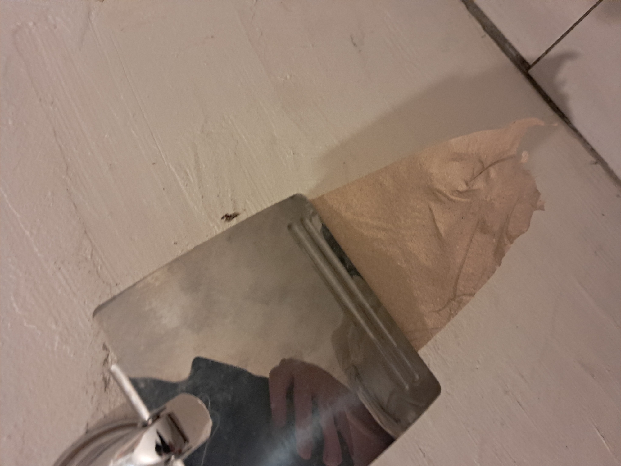 The image shows a close-up of a toilet paper dispenser mounted on a lightly textured, cream-colored wall. A hand is reflected in the chrome surface of the dispenser. A small, dark insect, possibly a fly or a small beetle, is visible on the wall to the right of the dispenser. The toilet paper is brown and partially unrolled, hanging down and casting a shadow. The lower portion of the image shows a tiled floor with gray grout lines. The overall scene is likely from a bathroom or restroom. The location in Krasnogorsk, Russia, is not discernible from the visual information in the image.