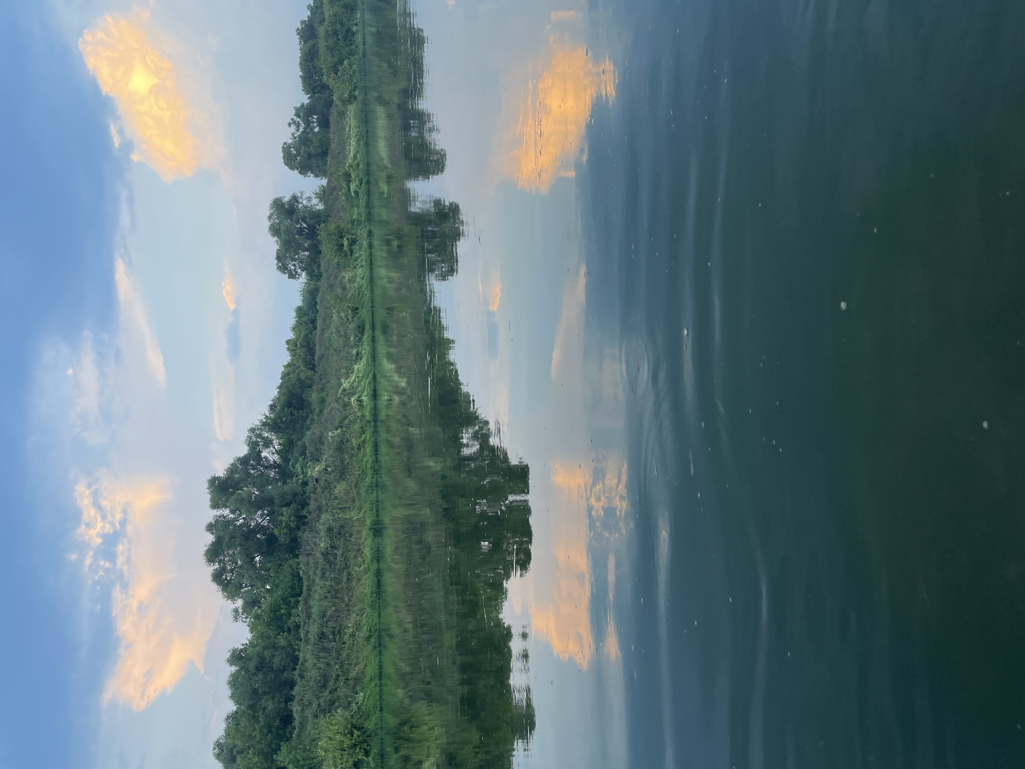 The image depicts a serene natural scene, likely taken from a body of water, possibly a river, looking towards a tree-lined bank under a sky with clouds. The foreground consists of dark green, rippling water with small white flecks on its surface. In the middle ground, the water reflects the sky and the bank. The bank is covered with dense green foliage and trees, with a clear line where the vegetation meets the water. The sky is a pale blue, with several fluffy clouds, some of which are tinged with orange and yellow, suggesting the setting or rising sun. The reflection of the clouds and the trees is visible in the water, creating a mirror image of the upper part of the scene. The image appears to be taken in the vicinity of Verkhneye Kazachye, Russia, a location known for its natural landscapes and river systems. No people or animals are visible in the frame.