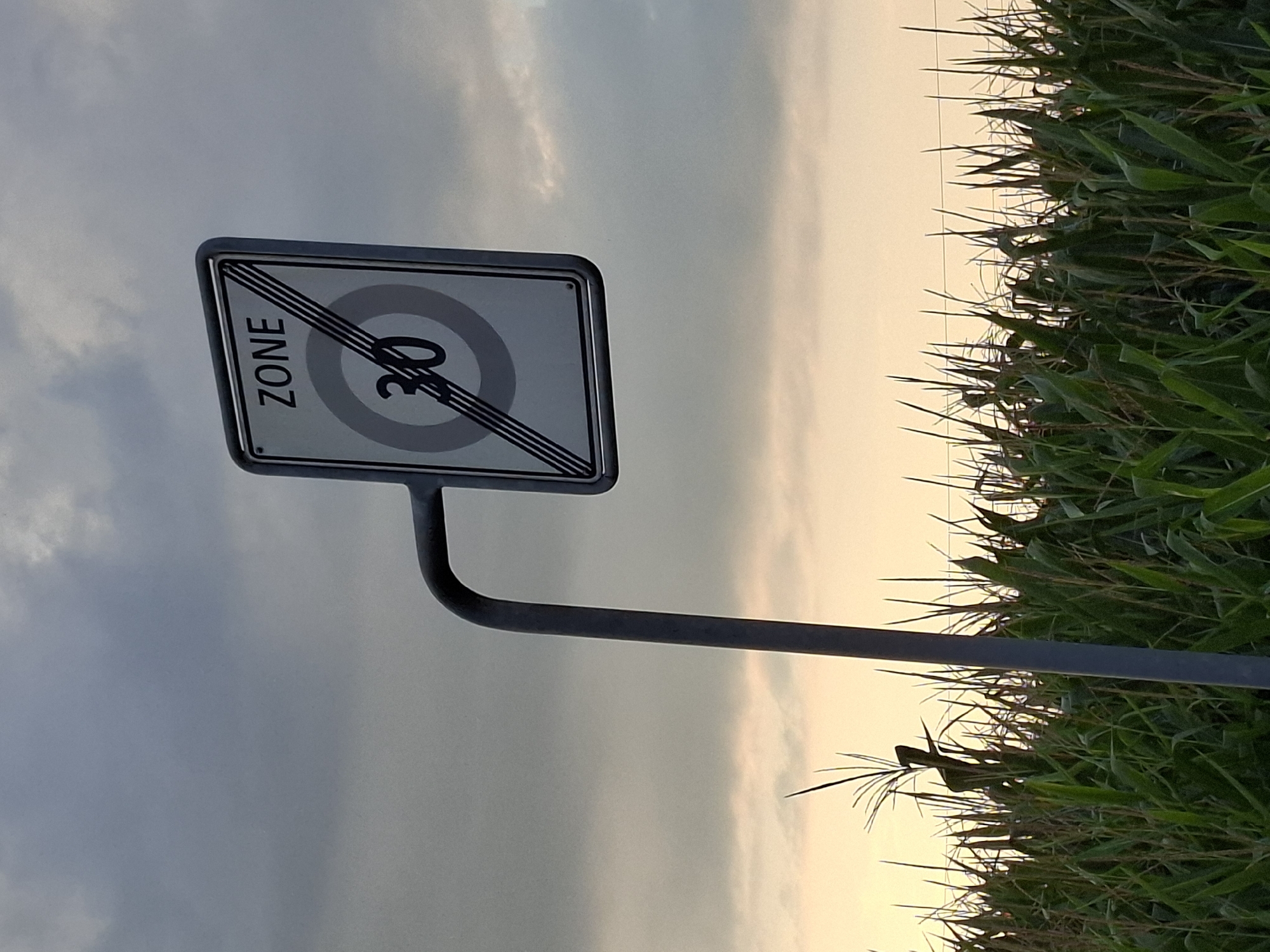 A rectangular white sign with a black border, indicating the end of a 30 km/h speed limit zone, is mounted on a grey pole. The sign has the word "ZONE" in black text at the top, followed by a circular speed limit sign with the number "30" in the center. Three black diagonal lines cross the speed limit circle, signifying the end of the zone. The sign is positioned above a field of tall green corn stalks. The background consists of a pale yellow and grey sky, with some clouds visible. The scene appears to be in an outdoor rural or semi-rural setting, possibly on the outskirts of Hochdorf, Switzerland, given the presence of agricultural land.