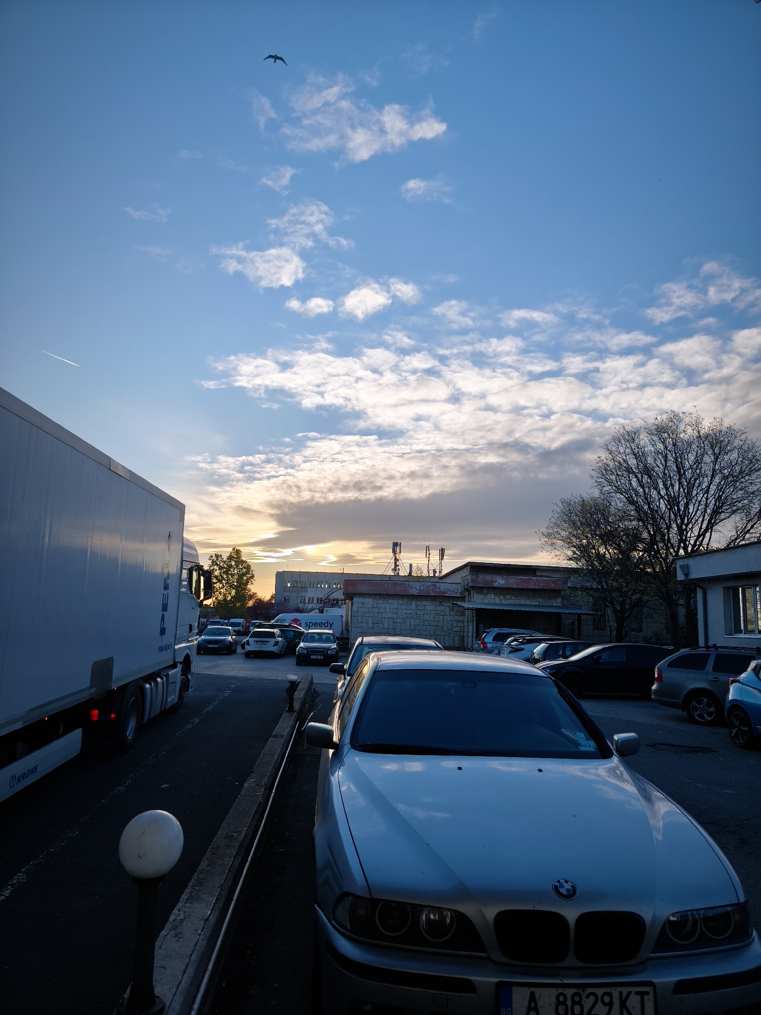 This outdoor photograph captures a parking lot scene during sunset or dusk, likely in an industrial or commercial area in Burgas, Bulgaria. The upper portion of the frame is dominated by a vast sky, transitioning from a clear blue with scattered white clouds at the top to warm orange and yellow hues near the horizon, indicating the setting sun. A lone bird is silhouetted against the blue sky in the upper left, and a faint airplane contrail is visible.
In the immediate foreground on the right, a silver BMW sedan (an E39 model) is parked, facing towards the viewer. Its Bulgarian license plate, "A 8829 KT", is clearly visible. On the left side of the foreground, a large white semi-trailer truck is parked, partially obscuring the view behind it. The side of its trailer shows text, possibly "Krone". A spherical white light fixture on a dark post is positioned in the lower left.
The midground features an assortment of parked cars and several low-rise buildings. One building clearly displays the "Speedy" logo, suggesting a courier or logistics business. Another building features a cluster of communication antennae on its roof. A large, deciduous tree, mostly bare of leaves, stands on the right side of the midground, its branches silhouetted against the fading light. The overall atmosphere is calm, with the golden hour light casting soft shadows and highlighting elements of an urban-industrial environment at the close of the day.