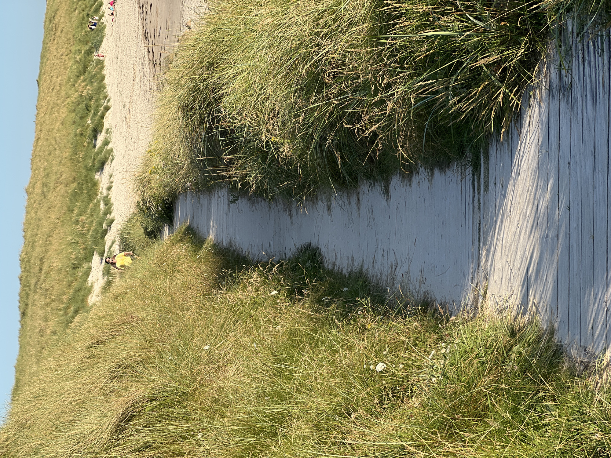A wooden boardwalk traverses a sandy path bordered by tall, golden-green grasses and sand dunes under a clear blue sky. A person wearing a yellow t-shirt walks away from the camera on the boardwalk, heading towards the beach in the background where other figures can be seen scattered across the sand. The scene appears to be a natural coastal environment, likely within the rural municipality of Lunniaghbeg, Ireland, given the characteristic landscape of dunes and seaside vegetation. The lighting suggests it is late afternoon, casting long shadows across the boardwalk.