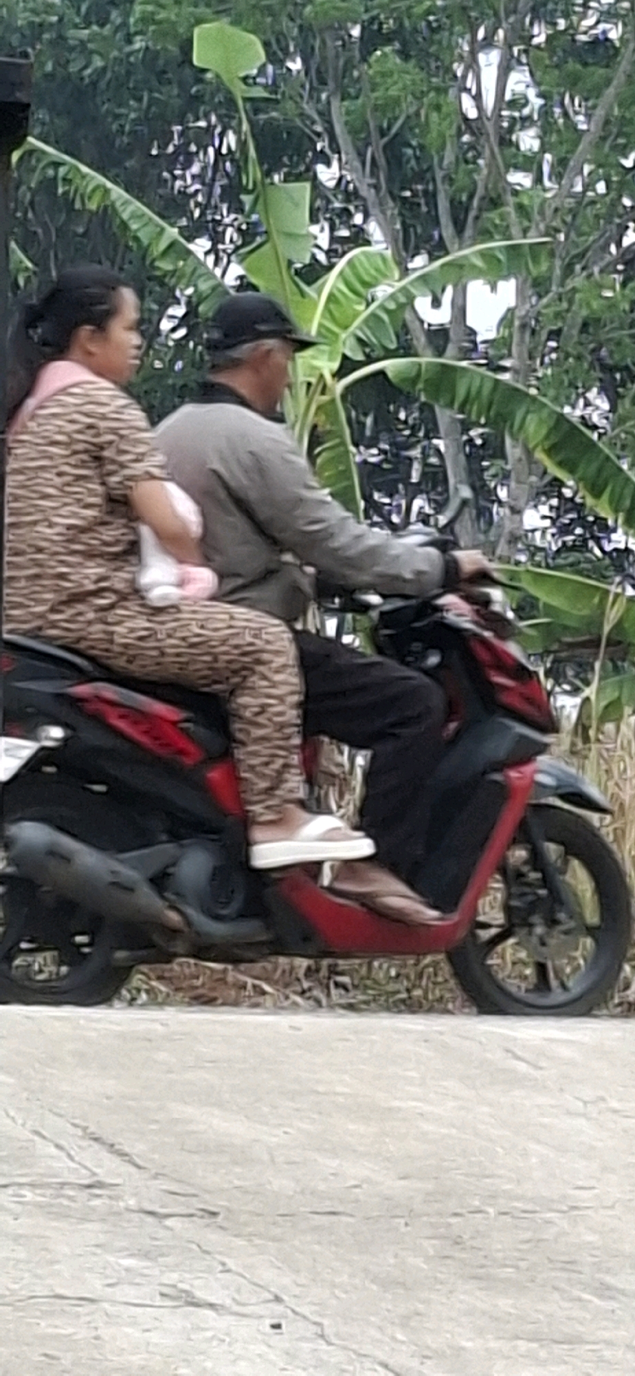 An adult male wearing a gray jacket and a black cap is riding a red and black scooter on a road. He is looking to the right and appears to be operating the vehicle. Behind him, an adult female wearing a patterned beige and brown outfit is seated as a passenger. She is holding a light-colored bundle or baby wrapped in pink fabric. Her head is turned to the left, and she is also looking in that direction. The scooter has a black exhaust pipe visible. The background consists of lush green foliage, including large banana leaves, and trees, suggesting a semi-rural or tropical environment. The ground in the foreground is a cracked concrete surface. The scene is captured outdoors during daylight.
