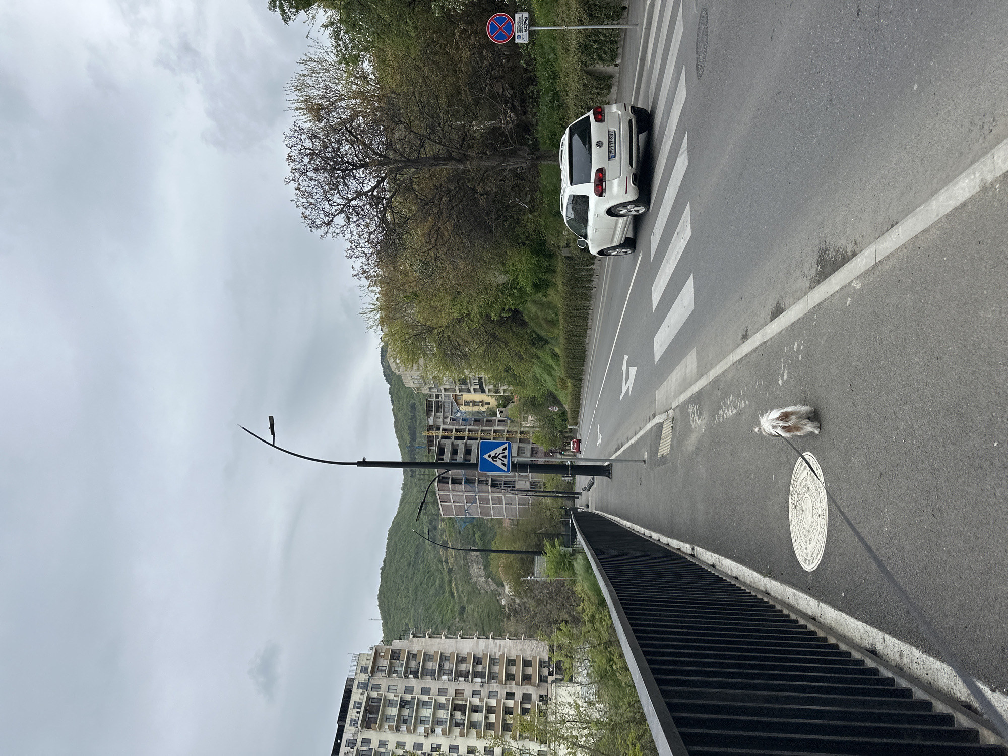 An aerial-perspective, vertical shot captures a street scene in an urban mountainous area, likely Tbilisi, Georgia, under an overcast sky. The road, featuring a white zebra crossing, takes center stage, with a white Volkswagen Touareg SUV stopped or parked just before it. The SUV's license plate reads `HH 717 KX`.
To the right of the road, a narrow sidewalk is visible, where a small, fluffy white and brown dog with long hair stands near a round manhole cover. A black metal guardrail or fence runs alongside this elevated section of the road.
On the left side of the road, a 'No Stopping' sign (red circle with a diagonal cross) is mounted on a pole, with an unreadable textual supplement below it. Further down the road, another pole displays a blue square 'Pedestrian Crossing' sign. Scattered trees, some bare and some with green foliage, line the road.
In the background, a steep, tree-covered mountain rises, with several multi-story buildings nestled at its base and along its slopes. Some buildings appear residential, while others show exposed concrete frames, suggesting ongoing construction. The overall impression is a cloudy daytime scene in a bustling city integrated with its natural landscape.