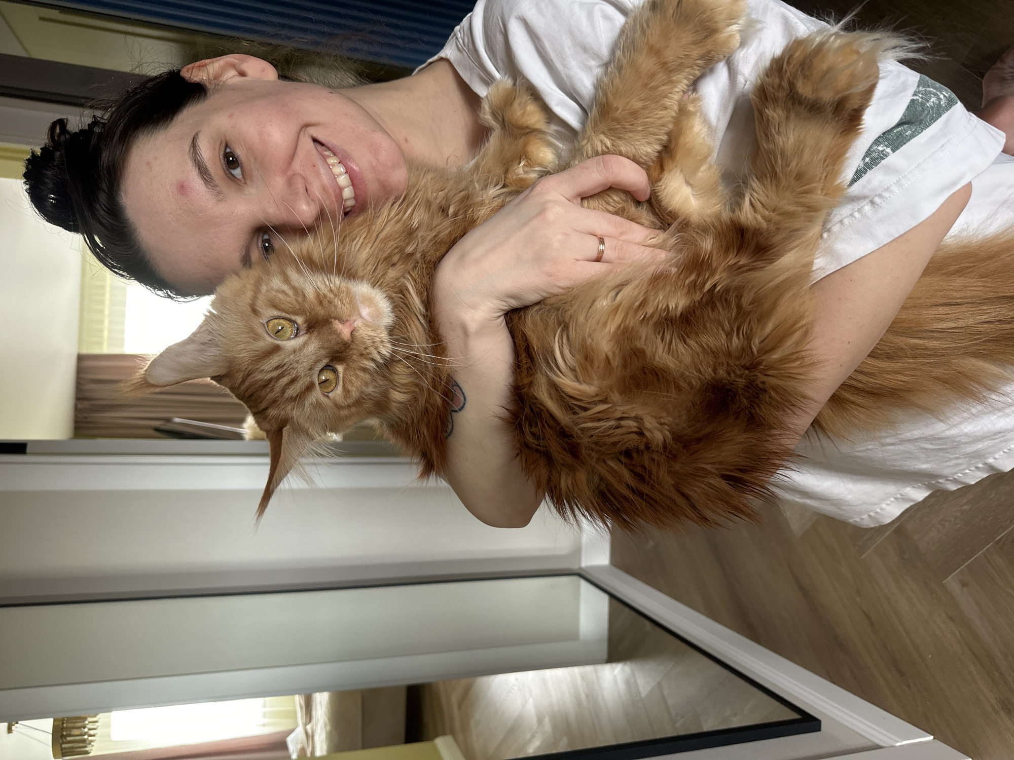 An adult female is depicted holding a large, long-haired ginger cat indoors, in what is identified as a location in Chaikovsky, Russia. The woman, positioned centrally, has dark hair pulled into a bun and wears a white short-sleeved t-shirt with a green pattern partially visible on her right side. She has a red mark on her forehead and is smiling while looking directly at the camera. A plain gold-colored ring is visible on the ring finger of her left hand, which is wrapped around the cat. A partially visible blue tattoo with two joined shapes is on her upper left arm. The cat, consistent with a Maine Coon breed, has prominent ear tufts, long whiskers, and amber eyes, and is looking towards the camera with a neutral expression. Its body rests against the woman's chest and arms.
The background shows an interior space. To the left, a full-length mirror with a dark frame reflects a room containing a bed with light-colored bedding, a window with light-colored curtains, and a multi-tiered golden chandelier hanging from the ceiling. The floor throughout the visible area is light-colored wood laminate or parquet, arranged in a herringbone pattern, with white baseboards along the walls. A light-colored wall or door frame is visible behind the woman's right shoulder. The lighting is bright, suggesting an indoor, well-lit environment.