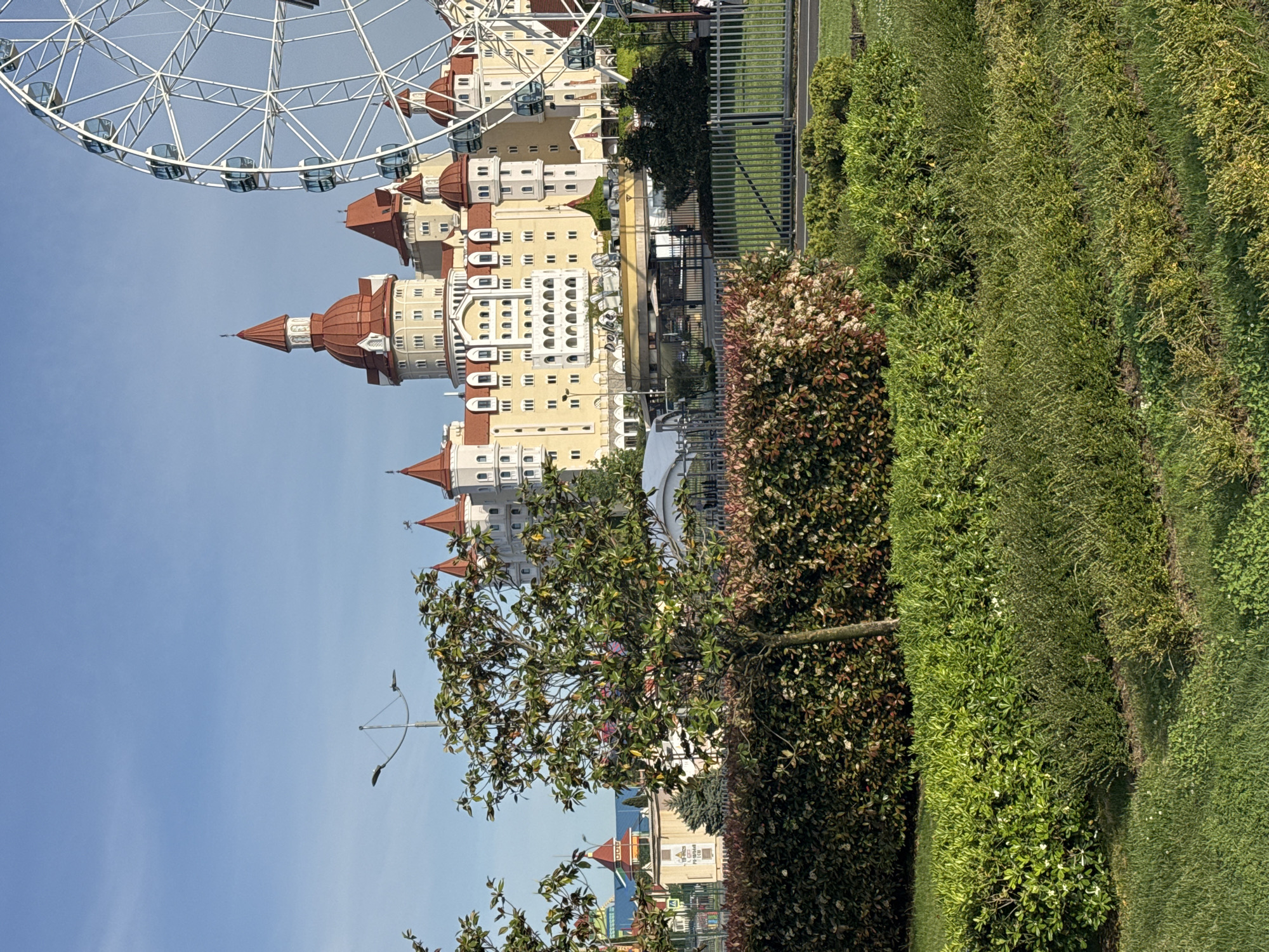 The image shows a Ferris wheel and a tall, ornate building with multiple towers and a light-yellow facade, in the city of Sirius, Russia. The building's architecture is reminiscent of a castle. The lower part of the frame features dense greenery, including bushes and grass. A tree with green leaves stands in front of the building. The sky is clear and blue. A grey metal fence is also visible.
