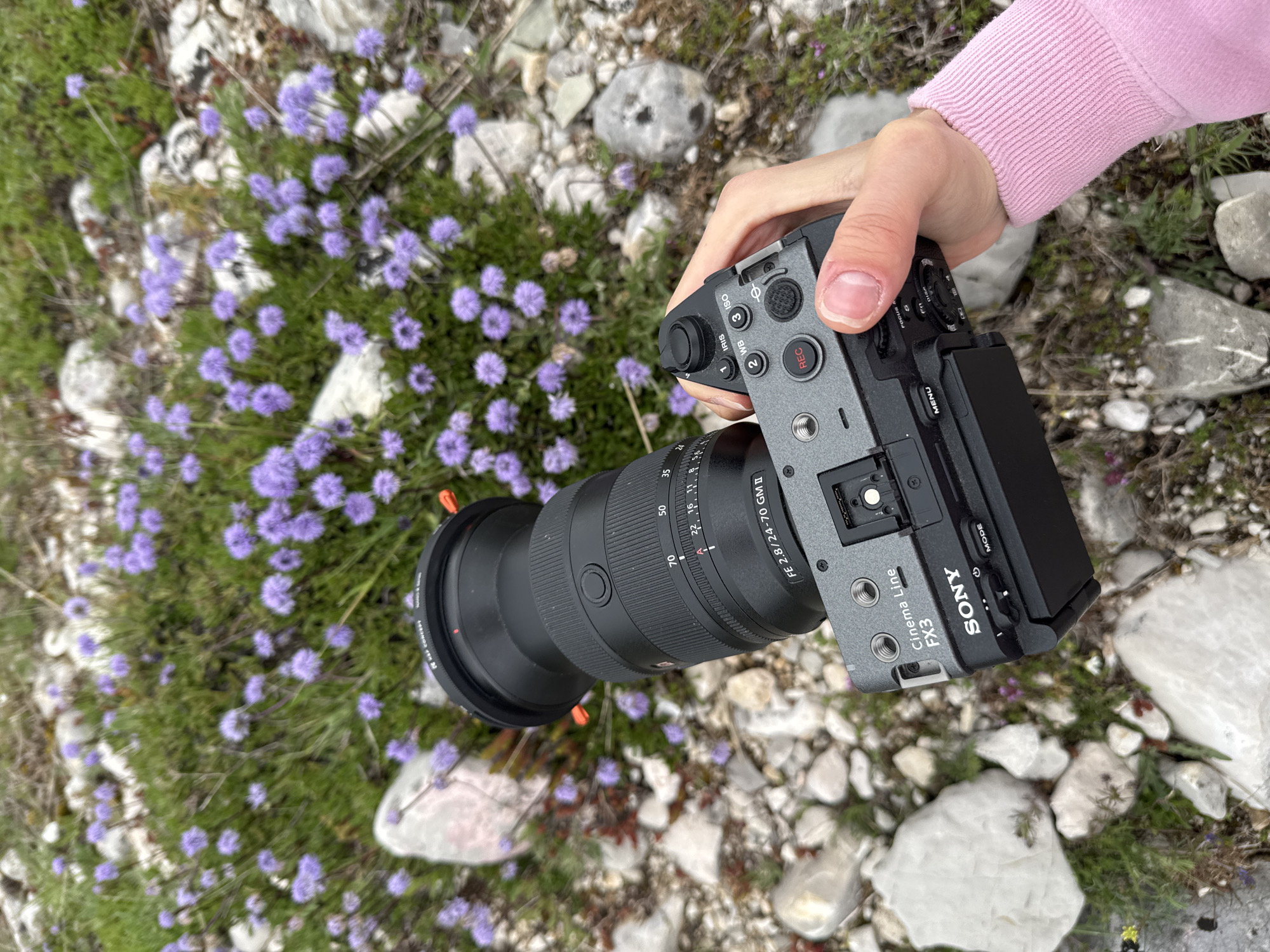 A person holds a Sony FX3 camera with an FE 2.8/24-70 GM II lens over a patch of small purple flowers mixed with light-colored stones and green vegetation. The camera is angled downwards, showing the controls and lens details. The person's hand and a pink sweatshirt sleeve are visible. The background consists of more stones and vegetation, suggesting an outdoor location, potentially in Nikšić, Montenegro.