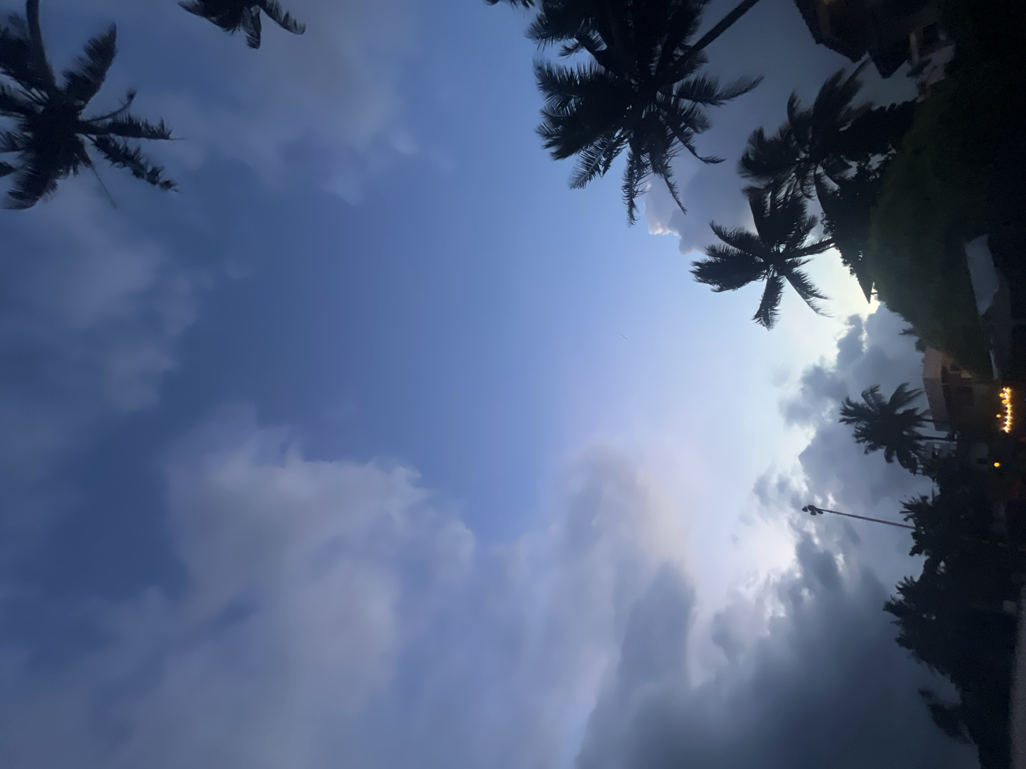 The image presents a dramatic upward view of a sky filled with diverse clouds and framed by palm tree silhouettes, taken in Peleana, Sri Lanka. The sky exhibits a gradient of colors, transitioning from a pale, almost white-blue on the right side of the frame to a deeper, darker blue and grey on the left.
Numerous clouds are visible, ranging from soft, white and light grey formations, particularly near the brighter part of the sky, to darker, heavier, and more ominous-looking grey clouds that dominate the left side and extend towards the bottom right. This varied cloud cover suggests a dynamic weather pattern, possibly indicating an approaching rain shower or simply a heavily clouded dusk or dawn.
Several coconut palm trees are silhouetted against the sky, their fronds appearing dark and often blurred, suggesting movement from wind. They are positioned along the edges of the frame – some in the upper left, upper right, and along the right and bottom right edges, creating a natural frame for the expansive sky.
Man-made elements are subtly included. Towards the lower right, a distinct street light pole stands vertically, topped with a light fixture. Further in the background, dimly lit buildings or structures are visible, with a few blurred orange and yellow lights suggesting illuminated windows or decorative lighting.
The overall impression is that of late afternoon or early evening (dusk), given the contrasting light levels in the sky and the visible artificial lights, creating a tranquil yet potentially moody atmosphere. There is no visible text or direct human activity captured in the image.
