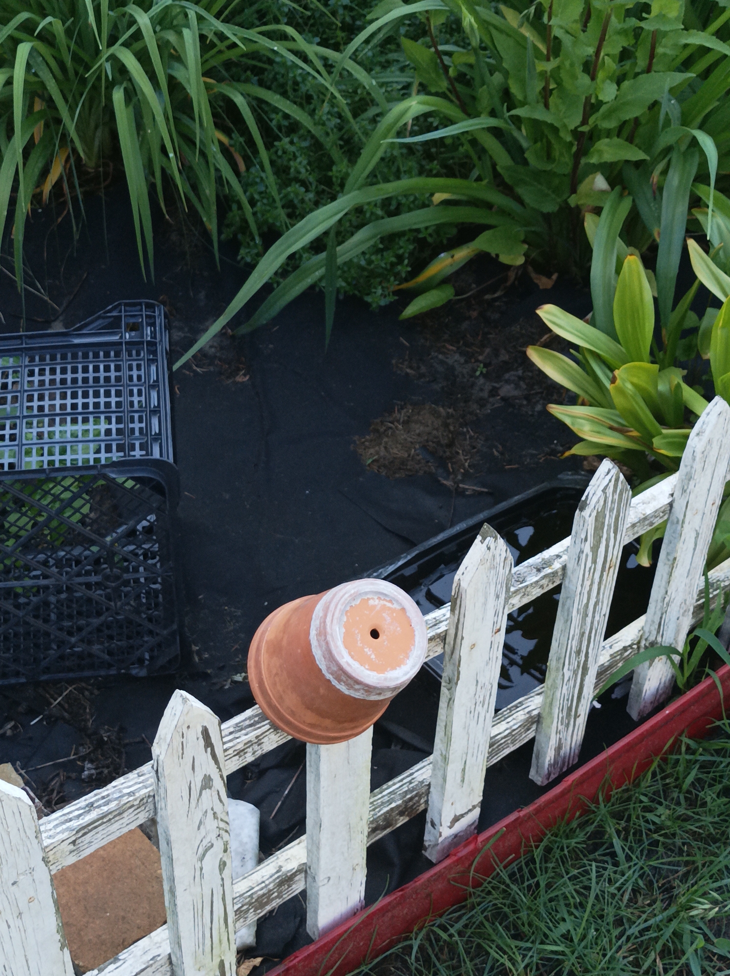 The image depicts an outdoor scene in what appears to be a backyard or garden area. In the foreground, a weathered white picket fence with peeling paint runs horizontally across the frame. A terracotta flower pot is balanced precariously on top of one of the fence pickets, with its opening facing upwards. To the left of the fence, two black plastic crates are stacked on dark fabric, likely landscaping material. Beyond the crates, lush green foliage of plants is visible. In the background, a dark surface, possibly water or damp ground, is present near the fence, and more greenery can be seen. The overall impression is one of a slightly cluttered, overgrown garden setting. There are no people or animals visible in the image. The lighting suggests it is daytime.