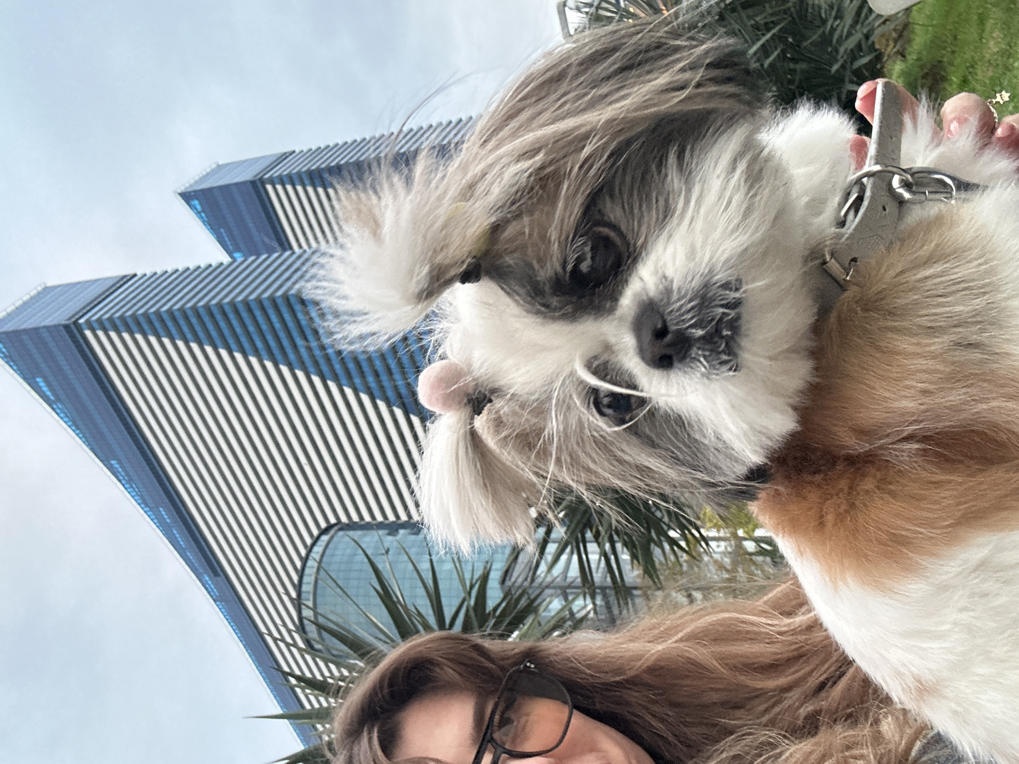 A low-angle selfie captures a woman, with light brown hair and glasses, holding a Shih Tzu-type dog up to the camera. The dog has a white, brown, and gray coat, and a pink hair tie on its head. Behind them is a cityscape, featuring two tall, modern skyscrapers with blue and white striped facades. A small green palm-type tree is visible in the background. The scene is set in Batumi, Georgia.