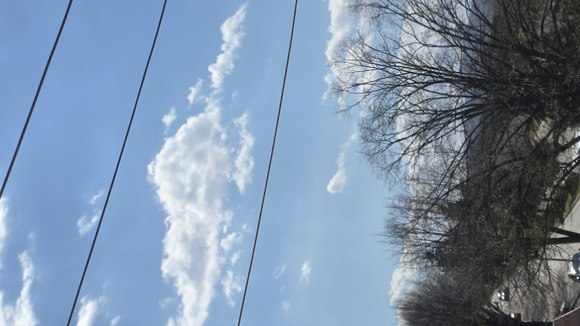 The image depicts a view upwards towards a blue sky with white clouds, intersected by power lines. The right side of the image features trees with bare branches, indicating it may be late fall or winter. Below the trees, there is a glimpse of a street and some building details.
It's not possible to definitively confirm the location as Blagoevgrad, Bulgaria, based on the provided image alone. More contextual details are needed for such identification.