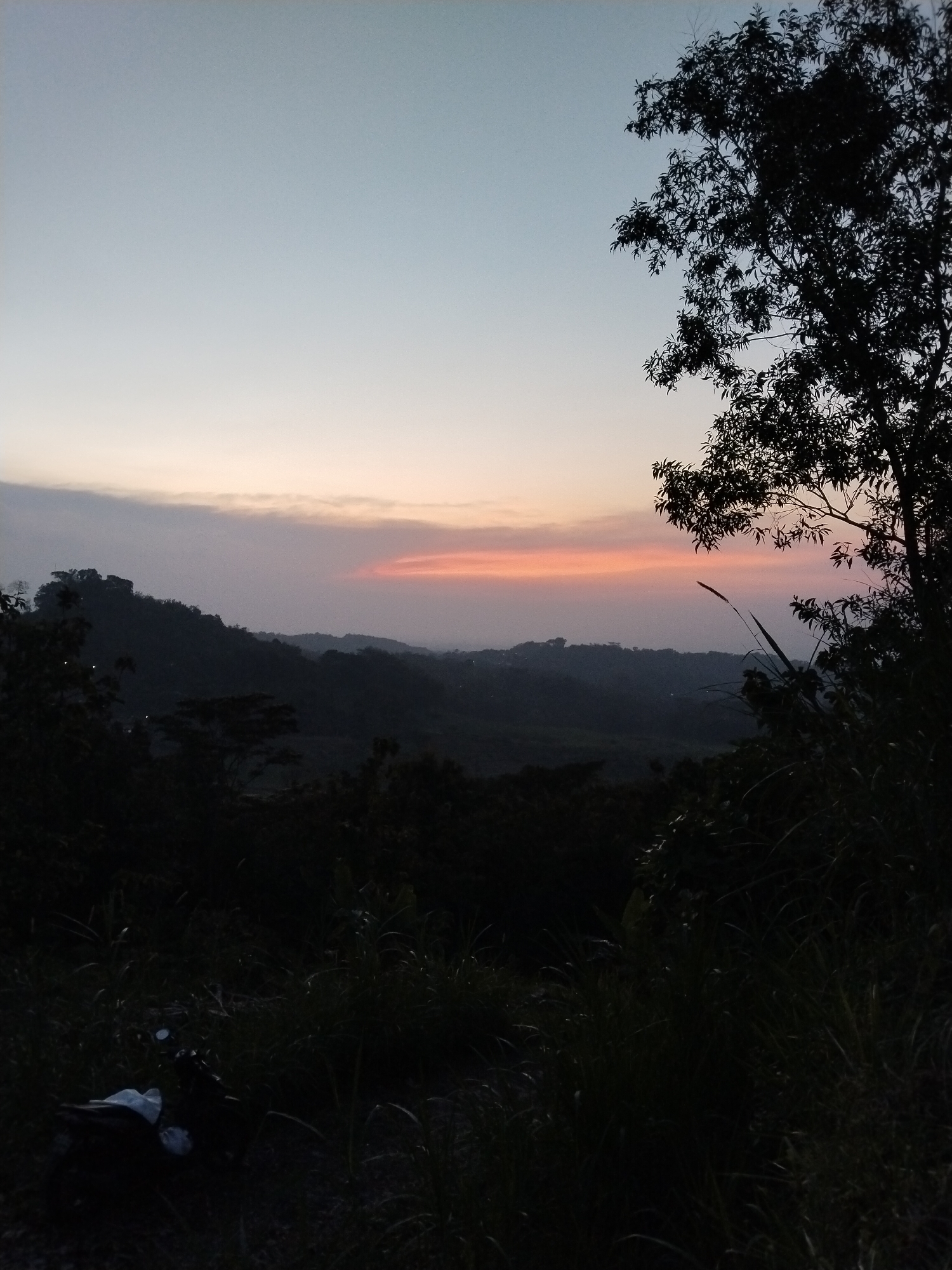 The image depicts a landscape at twilight. The sky is a gradient of color, from a pale blue at the top to a light orange at the horizon. A thin layer of clouds partially obscures the horizon. A series of hills or mountains are visible in the midground, silhouetted against the sky. A tree branch and foliage frame the right side of the image. Tall grass and other vegetation are in the foreground. The location is Unknown, Unknown.