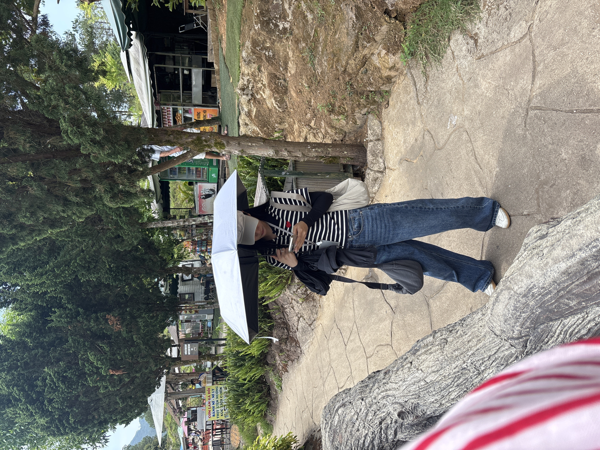 This daytime image, taken in Da Lat, Vietnam, features a person walking along a paved path in an outdoor setting. The main subject, viewed from behind, wears a black and white striped long-sleeve top, blue jeans, white sneakers, and a light-colored cap. They hold a white umbrella, likely for sun protection, and appear to be looking at a mobile phone. A black cross-body bag hangs over their shoulder.
The concrete path, which has visible cracks, is bordered on one side by a natural, rugged rock formation covered in moss and sparse vegetation. On the other side, several tall evergreen trees with dense green foliage dominate the foreground and midground, casting some shade. Beyond the trees and further along the path, various food stalls and kiosks are visible, indicating a market or recreational area. Signage on one stall displays Vietnamese text, including offerings such as "CƠM LAM GÀ ĐỐI" (sticky rice with grilled chicken), "BÁNH MÌ - MÌ LY" (bread - cup noodles), "THỊT XIÊN NƯỚNG" (grilled skewered meat), and "XÚC XÍCH CHIÊN" (fried sausage), with an emphasis on "NÓNG HỒI" (hot/freshly made). Another individual is partially visible near these stalls. The bright sunlight suggests clear weather, creating a lively yet relaxed atmosphere typical of a popular outdoor spot.