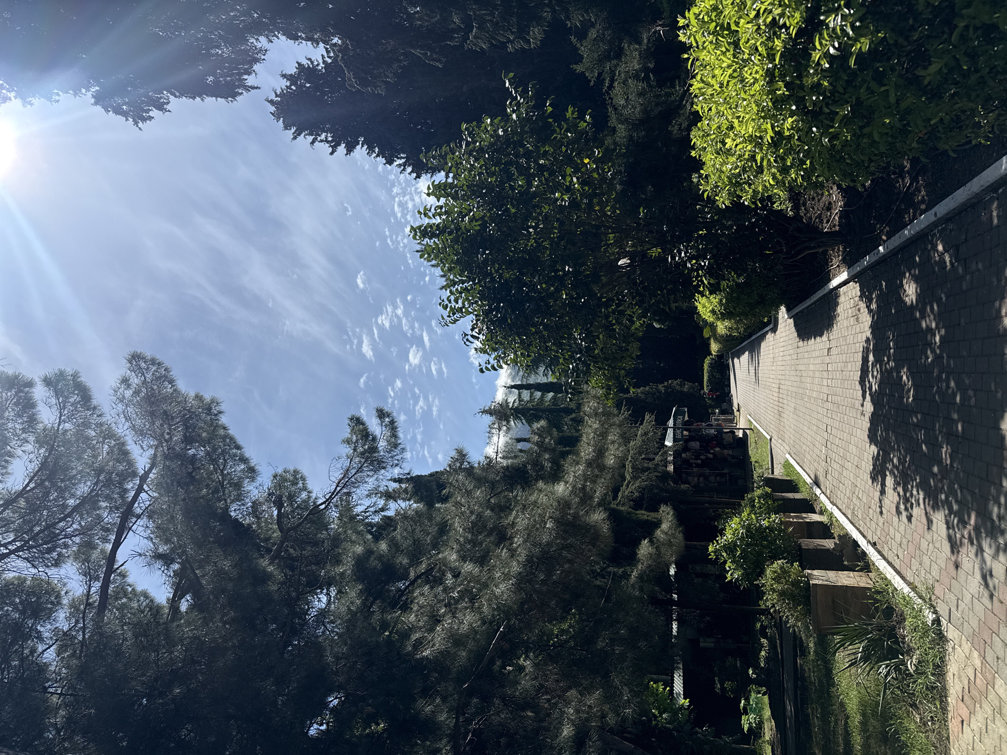 The image presents a view of a park or garden setting. A paved walkway, constructed of brick, stretches along the right side of the frame, adjacent to a wall. Lush greenery, including various trees and shrubs, borders the path. Above the trees, a blue sky is visible, dotted with clouds and the sun. The orientation suggests the image was taken looking upward, capturing the tree canopy against the sky. The location is Unknown, Unknown.