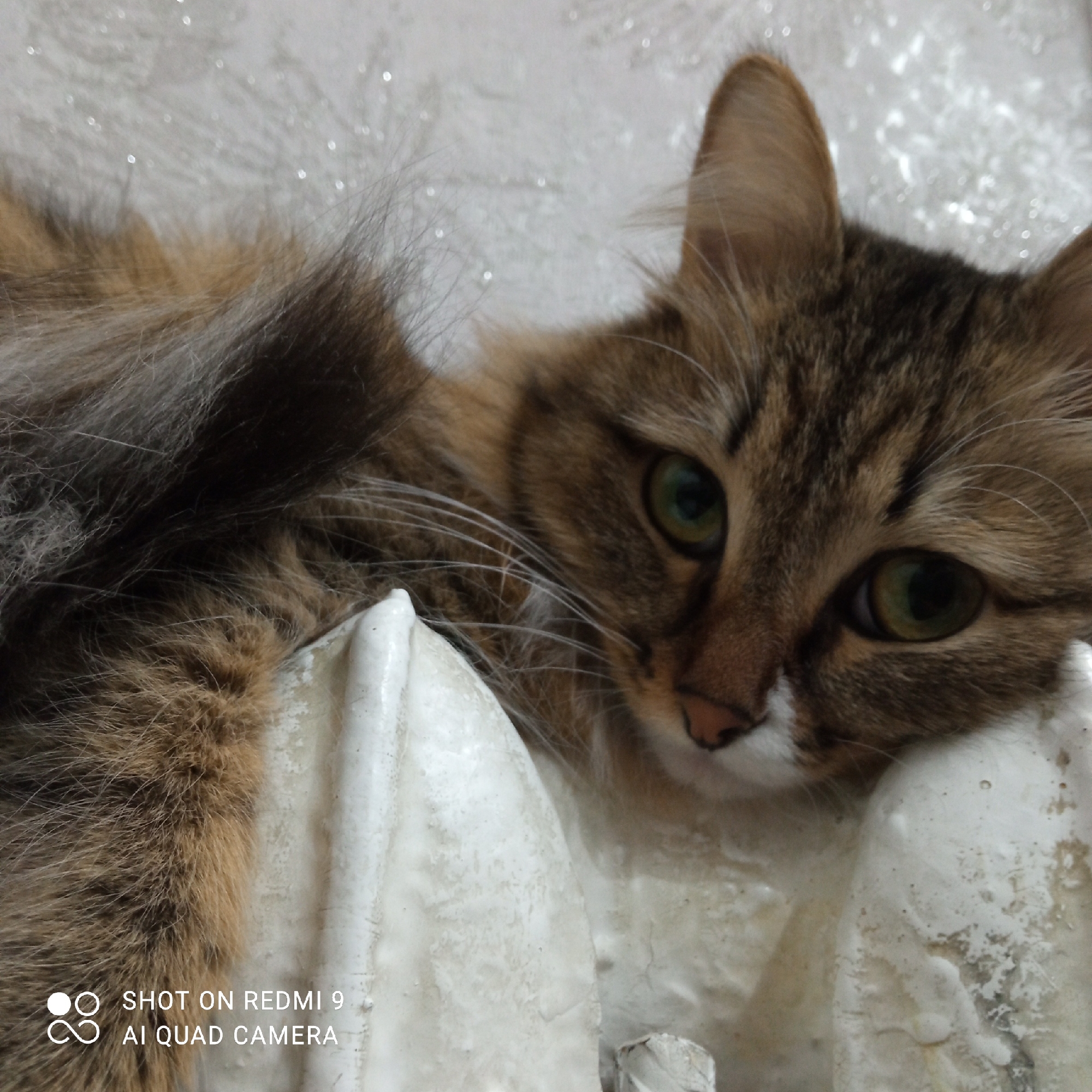 The image shows a medium-haired tabby cat lying on a white, heavily textured radiator. The cat has green eyes and a white patch on its nose. Part of its bushy tail is visible behind the radiator. The photo was taken on a Redmi 9 AI Quad Camera. There is no explicit indication of the location within the city of Chaikovsky, Russia in the image itself.