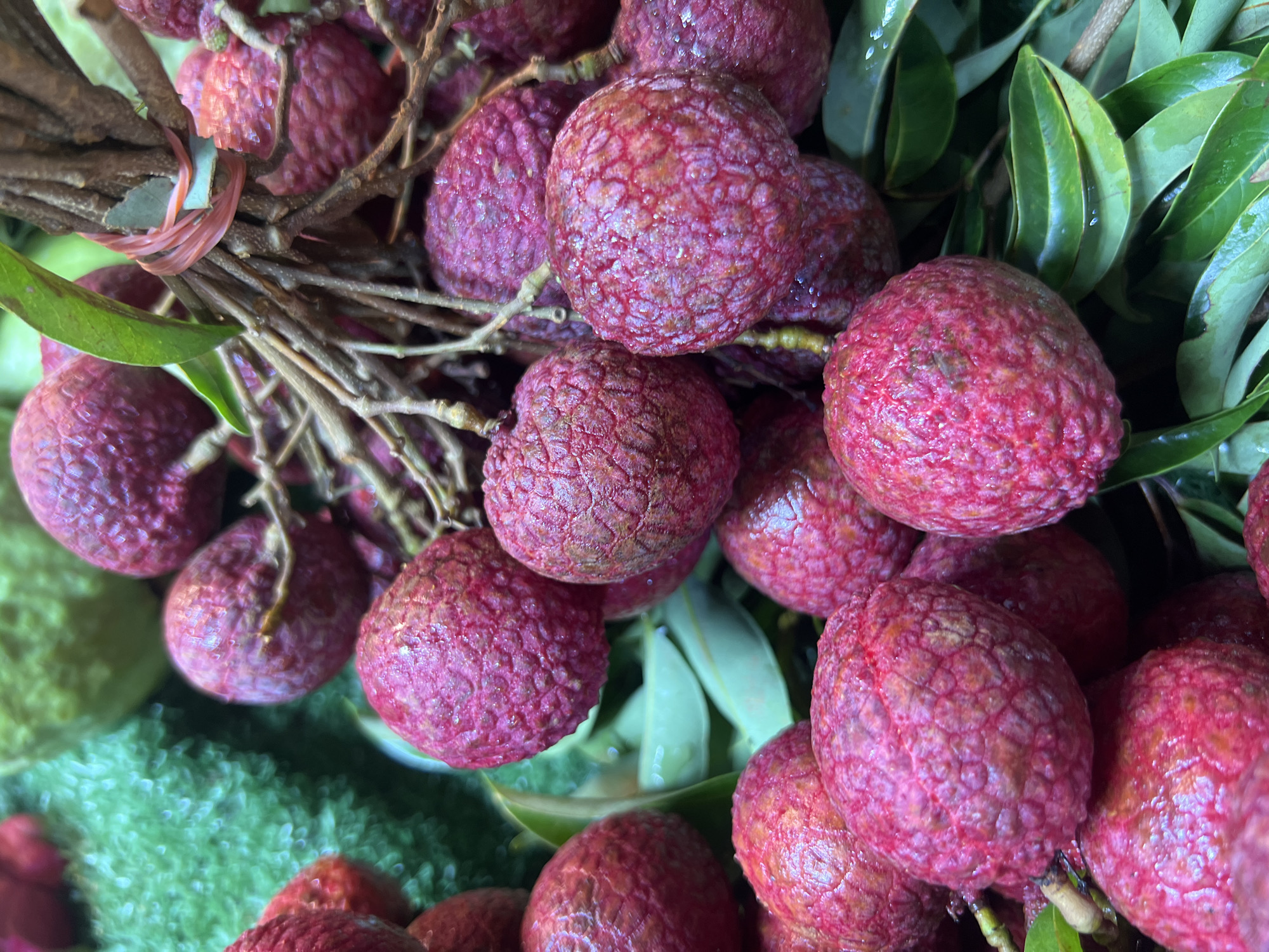 A close-up, overhead shot showcases a bunch of ripe lychee fruits in a market stall in Ko Pha-ngan District, Thailand. The lychees, ranging in color from deep pink to reddish-purple, are clustered together on their stems, some bound by a thin red rubber band. Their bumpy, textured skin is visible, with some fruits appearing slightly wet, possibly from misting to keep them fresh. Lush green leaves and stems are interspersed among the fruit, adding to the natural appeal. In the background, blurred hints of other produce, including a bright green textured item and a pale green fruit, suggest a vibrant market setting. The lighting is bright, emphasizing the rich colors and textures of the lychees.
