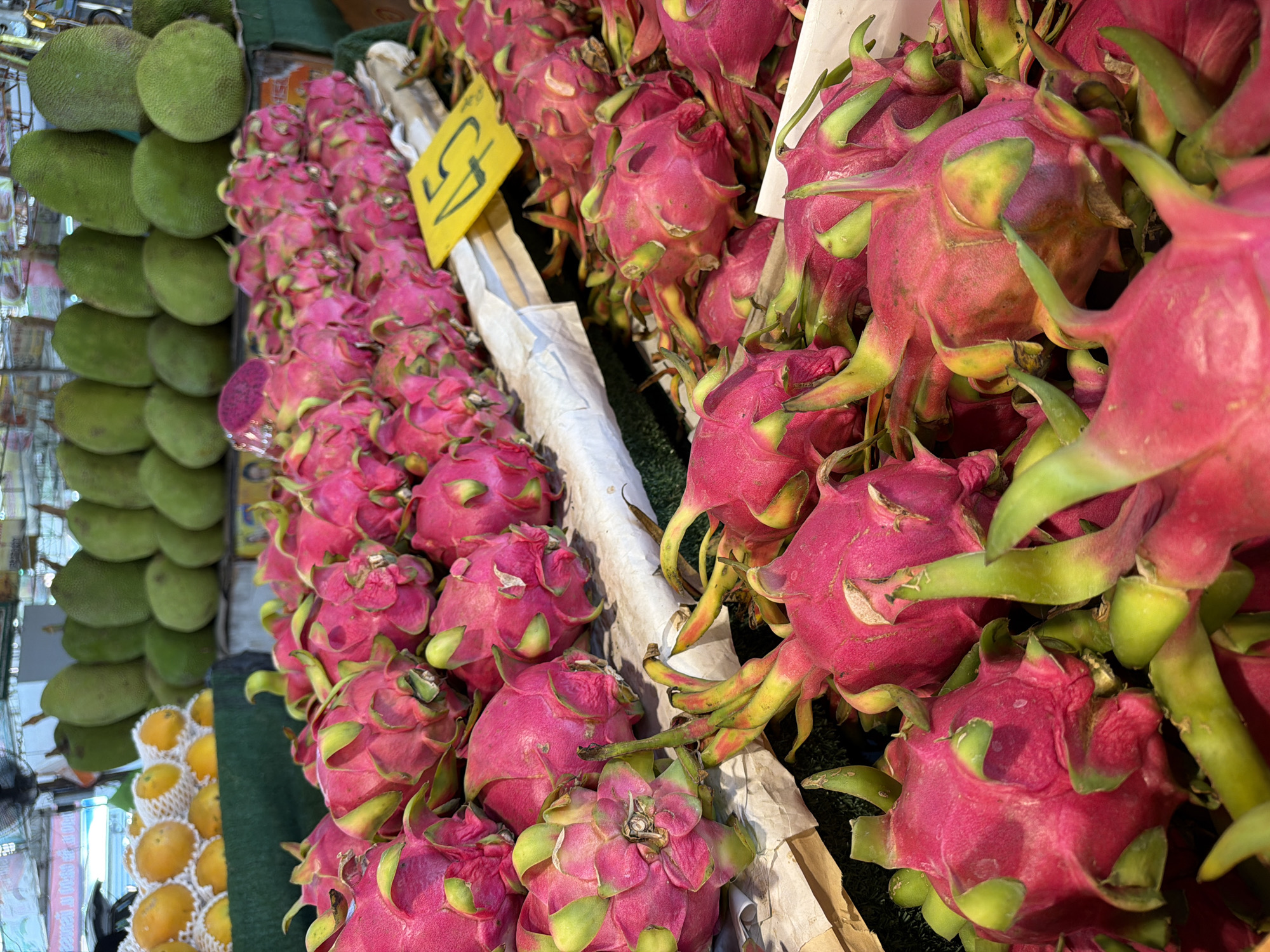 The image shows a fruit stand in Pattaya City, Thailand. There are several varieties of fruit on display, including jackfruit, dragon fruit, and mangoes. The dragon fruit is the most prominent, piled high and taking up the most space. A yellow price tag is visible amidst the dragon fruit. The jackfruit is stacked neatly to the side of the dragon fruit, and mangoes are stacked at the far left corner of the image. The lighting appears natural, and the scene suggests a bustling marketplace.