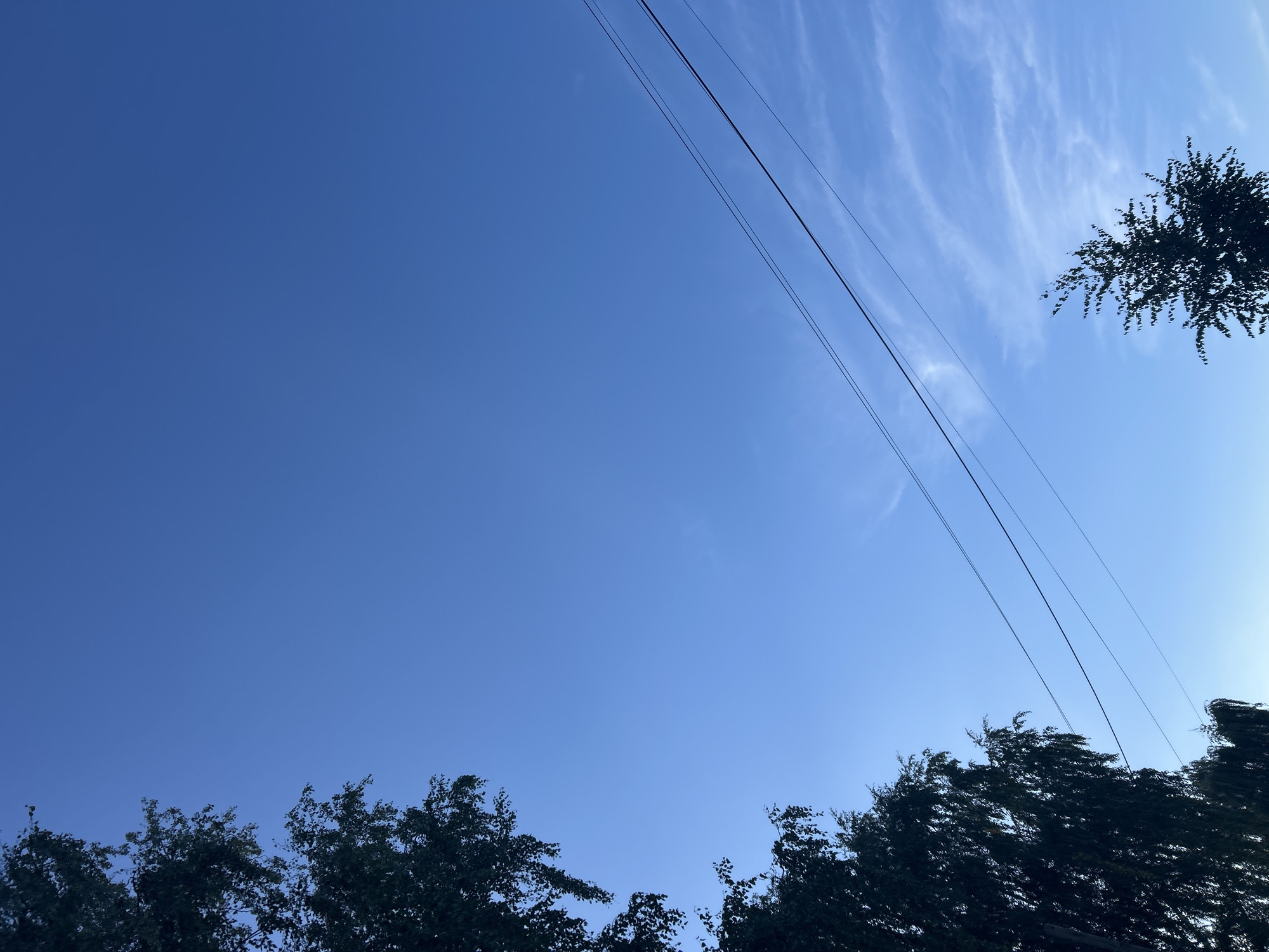The image depicts a clear blue sky with wispy clouds, a common sight in the city of Chaikovsky, Russia. Silhouetted against the sky are the branches of trees on the left and a smaller tree on the right. Several power lines stretch diagonally across the frame. The perspective is from below, looking upwards.
