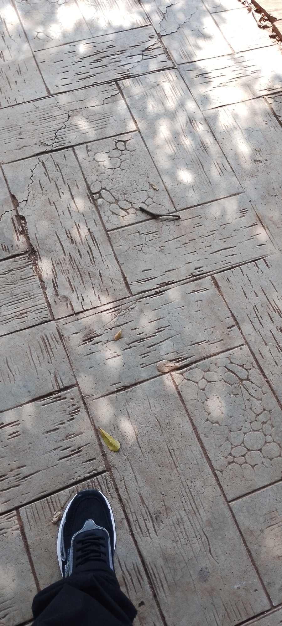 The image depicts a section of a paved walkway with a textured surface resembling wood grain and small circular patterns. The walkway is composed of rectangular pavers that appear worn and cracked. Shadows of foliage fall across the surface, suggesting an outdoor environment, likely in a public area. A person's left foot, wearing a black sneaker with grey accents and black pants, is visible in the lower left corner of the frame. A slender, dark-colored object, possibly a stick or a small reptile, lies on the walkway near the center of the image. A few dried leaves are scattered on the ground. The overall impression is of a sunlit path, possibly in a park or garden, in Adikpo, Nigeria.