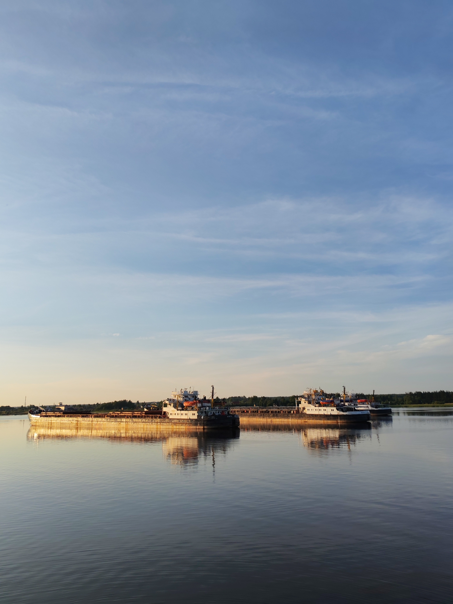 Two cargo barges are on a wide river, reflecting in the calm water under a pale blue sky with thin clouds. The barges are positioned horizontally, one slightly behind the other and to the right. The barge in the foreground, on the left, is loaded with what appears to be cargo, and its hull is illuminated by the warm light of the setting sun, creating a golden reflection on the water. The second barge, to the right and slightly further back, has a superstructure with cabins and lifeboats visible. The distant shore is lined with a dark green band of trees. The scene suggests a serene evening on a waterway in Shchetinino, Russia.