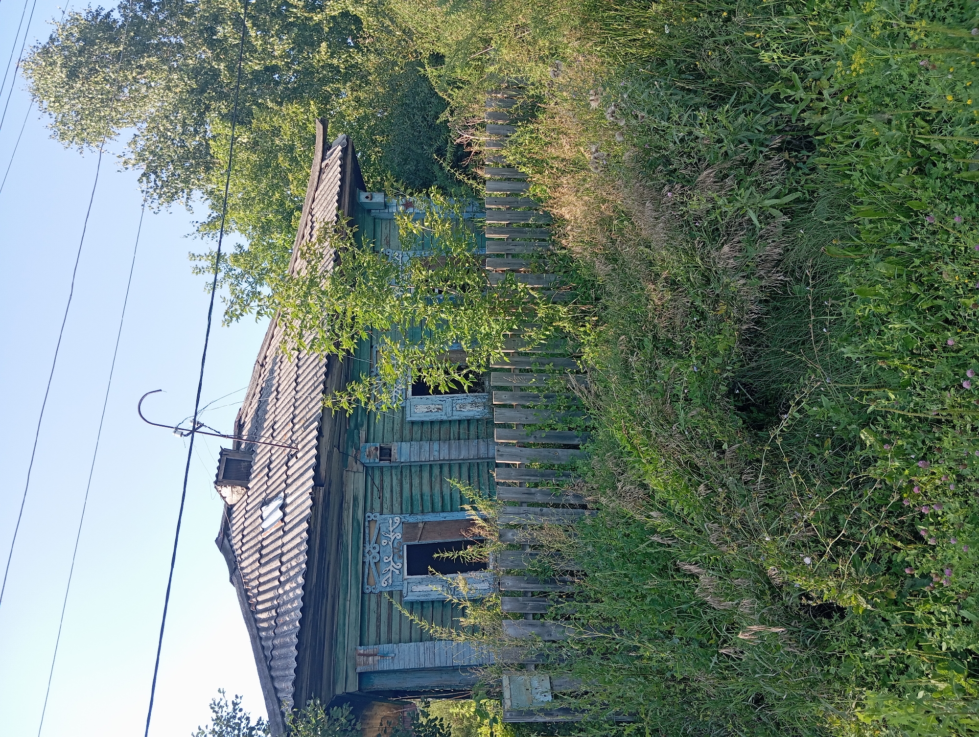 An aged, green wooden house with a corrugated roof stands amidst overgrown vegetation in Novokopylоvо, Russia. The house has decorative window frames and shutters, some of which are ajar. A weathered wooden fence runs in front of the house, partially obscured by tall grasses and wildflowers. A metal mailbox is attached to the fence. Power lines are visible overhead against a clear blue sky. The overall scene depicts a rural or semi-rural setting, likely an abandoned or neglected property, with a focus on the rustic architecture and the encroaching natural elements.