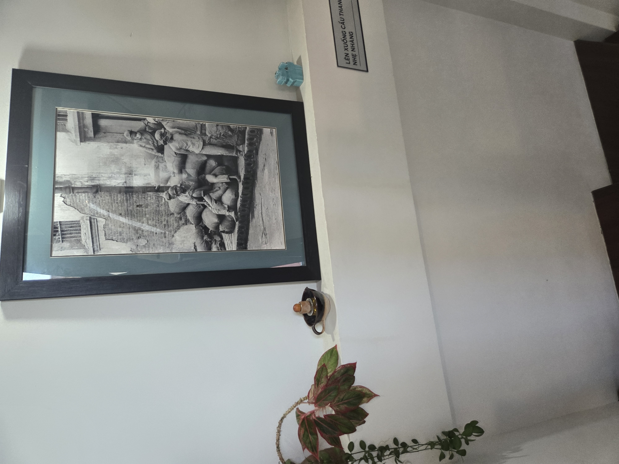 The photograph captures a framed, grayscale image hanging on a white wall, likely indoors. The photograph depicts what appears to be a historical scene of people working, possibly carrying heavy sacks, set against a backdrop of brick buildings and a canal or waterway. Above the frame is a sign with the words “LÊN XƯỐNG CẦU THANG NHẸ NHÀNG”. Below the frame is a decorative teacup with what may be a cork inserted, placed above foliage from a plant. The scene suggests a location in Hà Nội, Vietnam due to the Vietnamese script on the sign.
