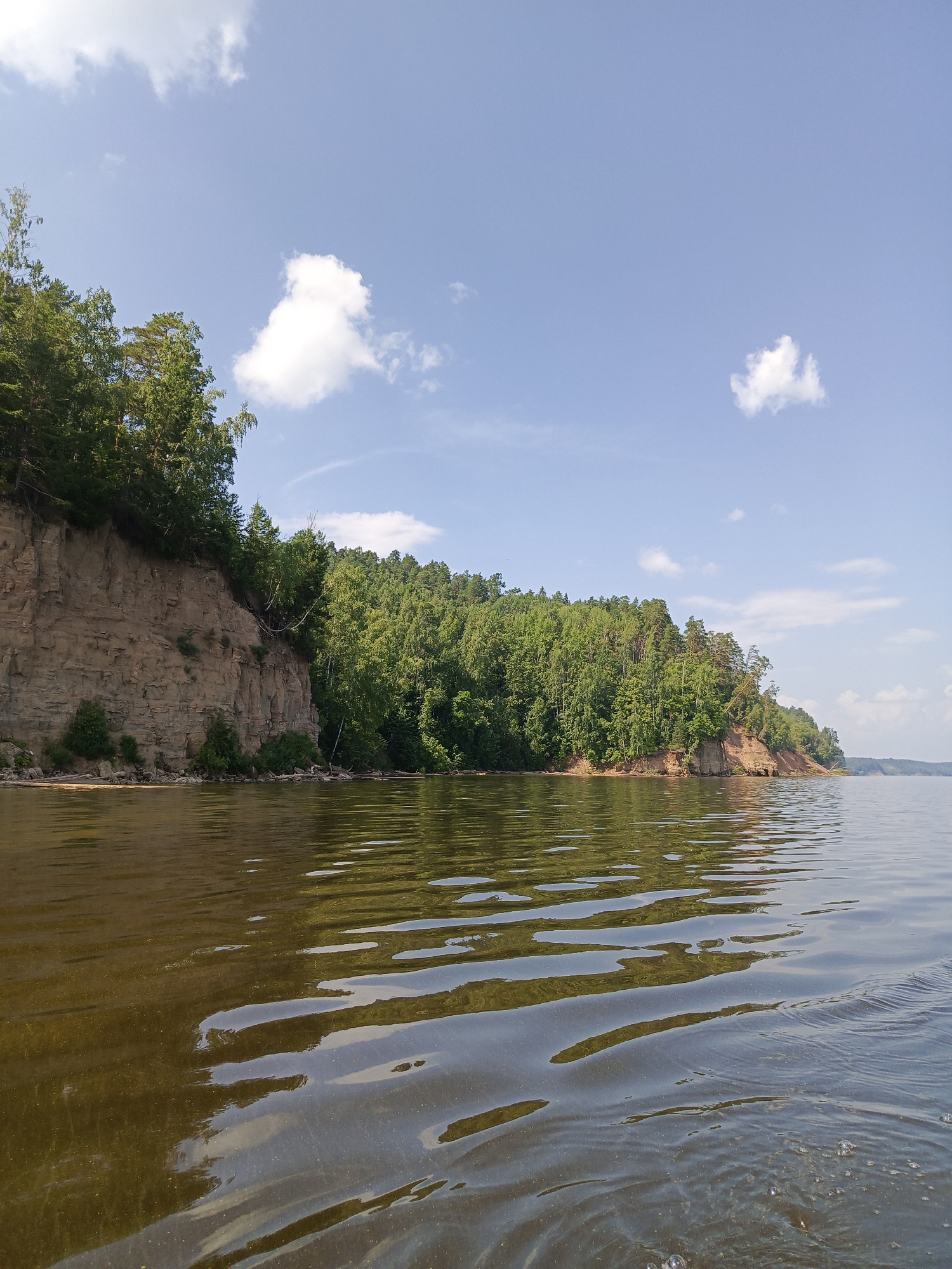 A wide, slow-moving river dominates the foreground of the image, with ripples reflecting the sky and trees. The water appears murky brown in color. Along the left bank, a steep, sandy cliff rises, topped by a dense forest of green trees, primarily pines and deciduous trees. Some of the trees on the cliff's edge are leaning precariously. To the right, the forest continues along a gentler slope that recedes into the distance, forming a lush green coastline. The sky is a clear blue with scattered white, fluffy clouds. The scene is indicative of a natural landscape, likely a riverbank in a forested region. This is the Kama River near the city of Chaikovsky, Russia, a popular recreational area known for its natural beauty. There are no people or animals visible in the image. The overall impression is one of tranquility and untouched nature.