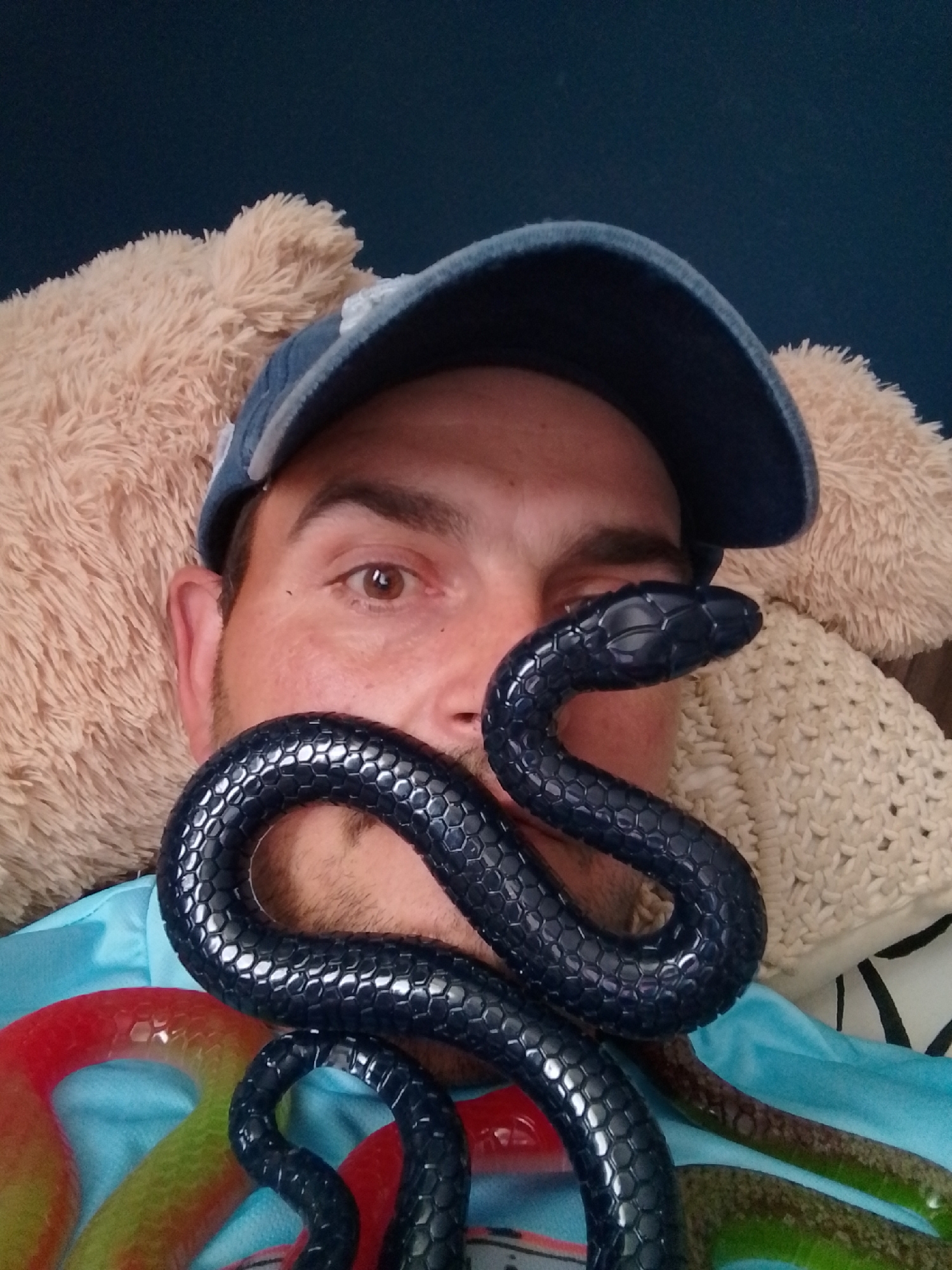 The image shows a man wearing a blue baseball cap and a light blue shirt, holding a dark blue toy snake in front of his face. The snake is coiled around his neck and head, with its head near his eyes. Behind him, there are two plush toys, one light brown and fluffy, and another with a cream-colored knitted texture. In the foreground, colorful toy snakes, one red and green, and another red, are visible. The man appears to be indoors, with a dark blue wall in the background. There is no discernible information to suggest this image was taken in Wedel, Germany.