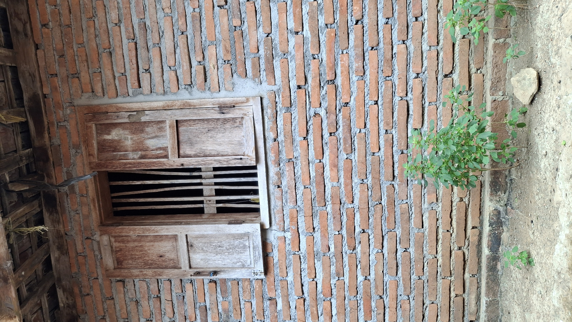 An exterior shot shows the weathered brick wall of a building, with a wooden window and a section of roof visible at the top. The window has two wooden shutters, one of which is partially open, revealing vertical wooden bars inside. The brickwork is rough and uneven, with visible mortar. In front of the wall, the ground is covered in dry dirt and small green plants are growing. A single stone rests on the ground to the right. The scene appears to be in a rural or semi-rural area, consistent with the outskirts of Pucakwangi, Indonesia. There are no people or animals present in the image.