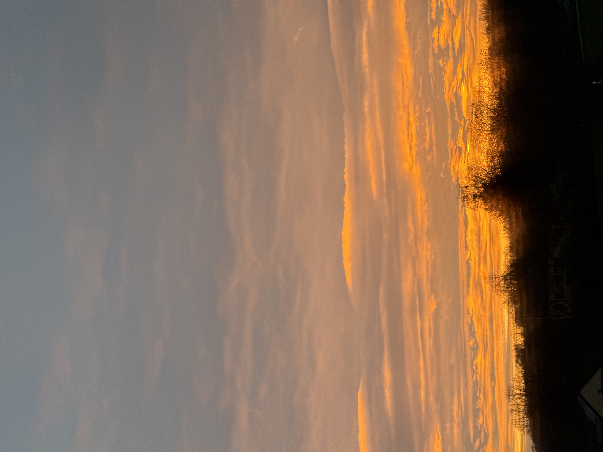 The image displays a wide shot of a sky during either sunrise or sunset over Junglinster, Luxembourg. The upper third of the sky is a muted grey-blue with faint, diffuse cloud cover. The middle third transitions to a gradient of peach and orange hues, featuring numerous horizontal cloud formations illuminated from below. The lower third of the sky is intensely vibrant with bright orange and yellow light, particularly concentrated along the horizon, suggesting the sun is just below or obscured. The foreground, occupying approximately the bottom fifth of the frame, consists of a dark, undifferentiated silhouette of a tree line and underlying terrain. The leafless branches of trees are visible against the bright sky. On the lower left, a partial view of a dark-sloped roof, possibly belonging to a residential structure, is discernible within the silhouette. No human figures or specific actions are visible.